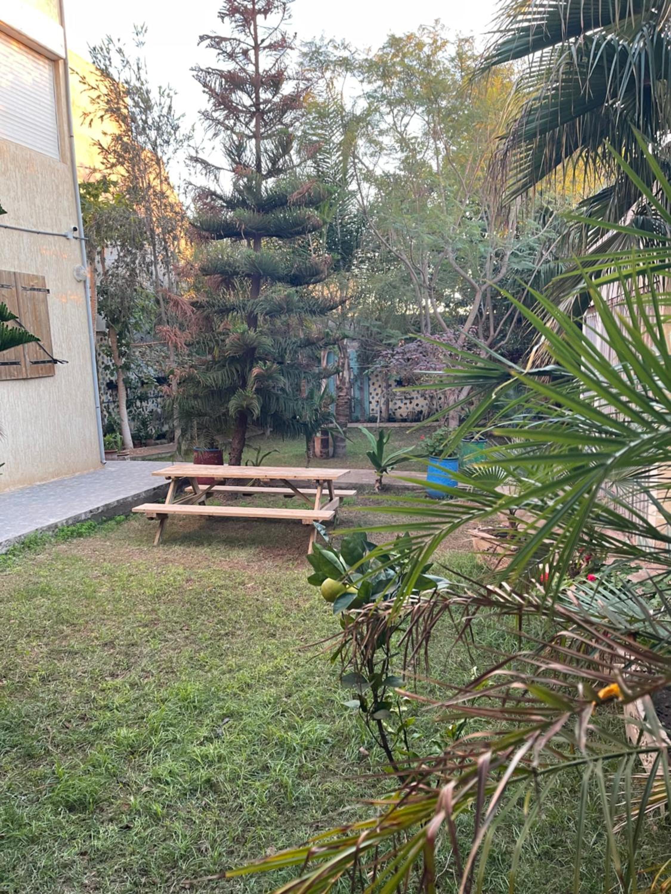 Photo 20