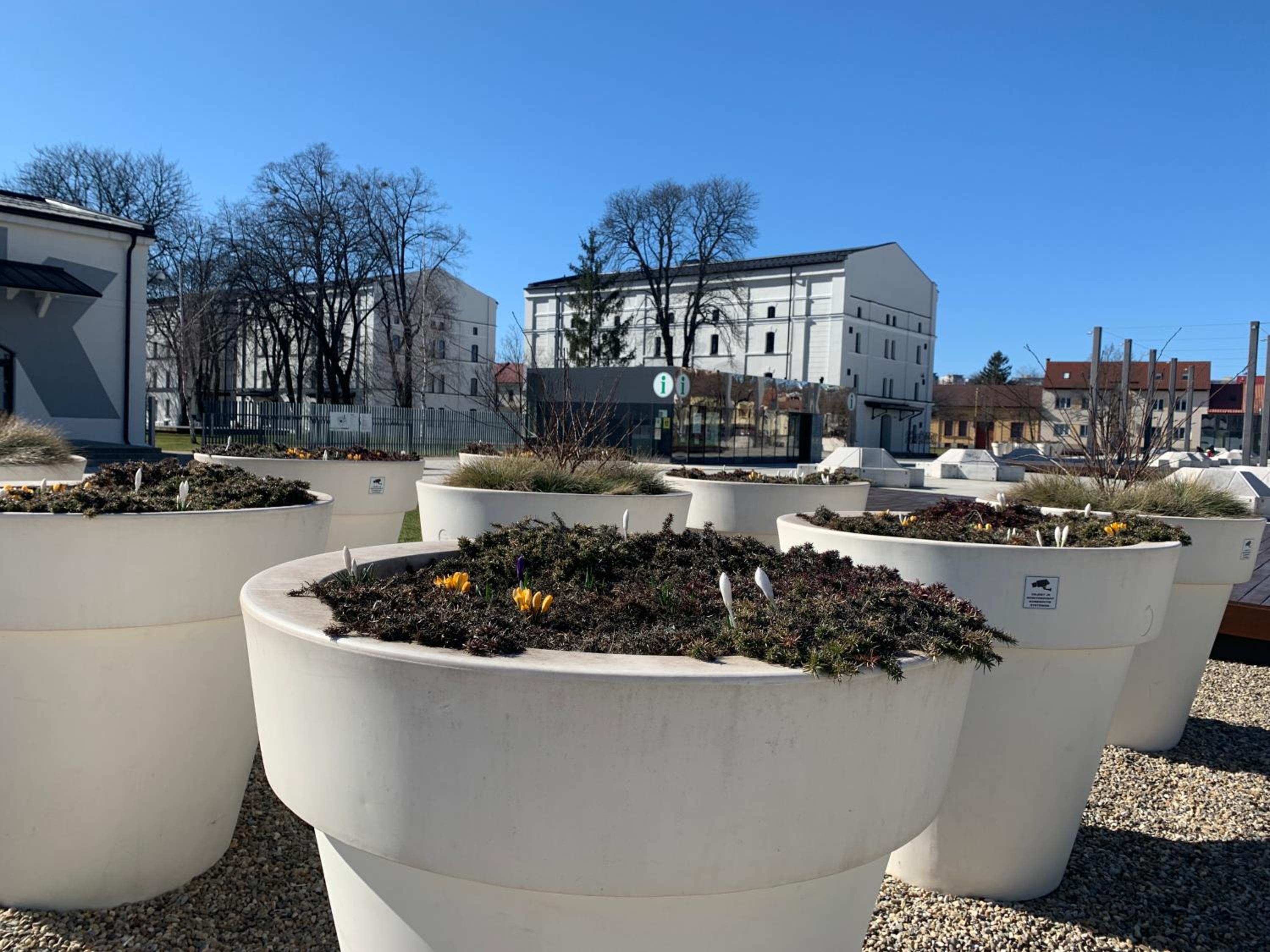 Apartman Usmev