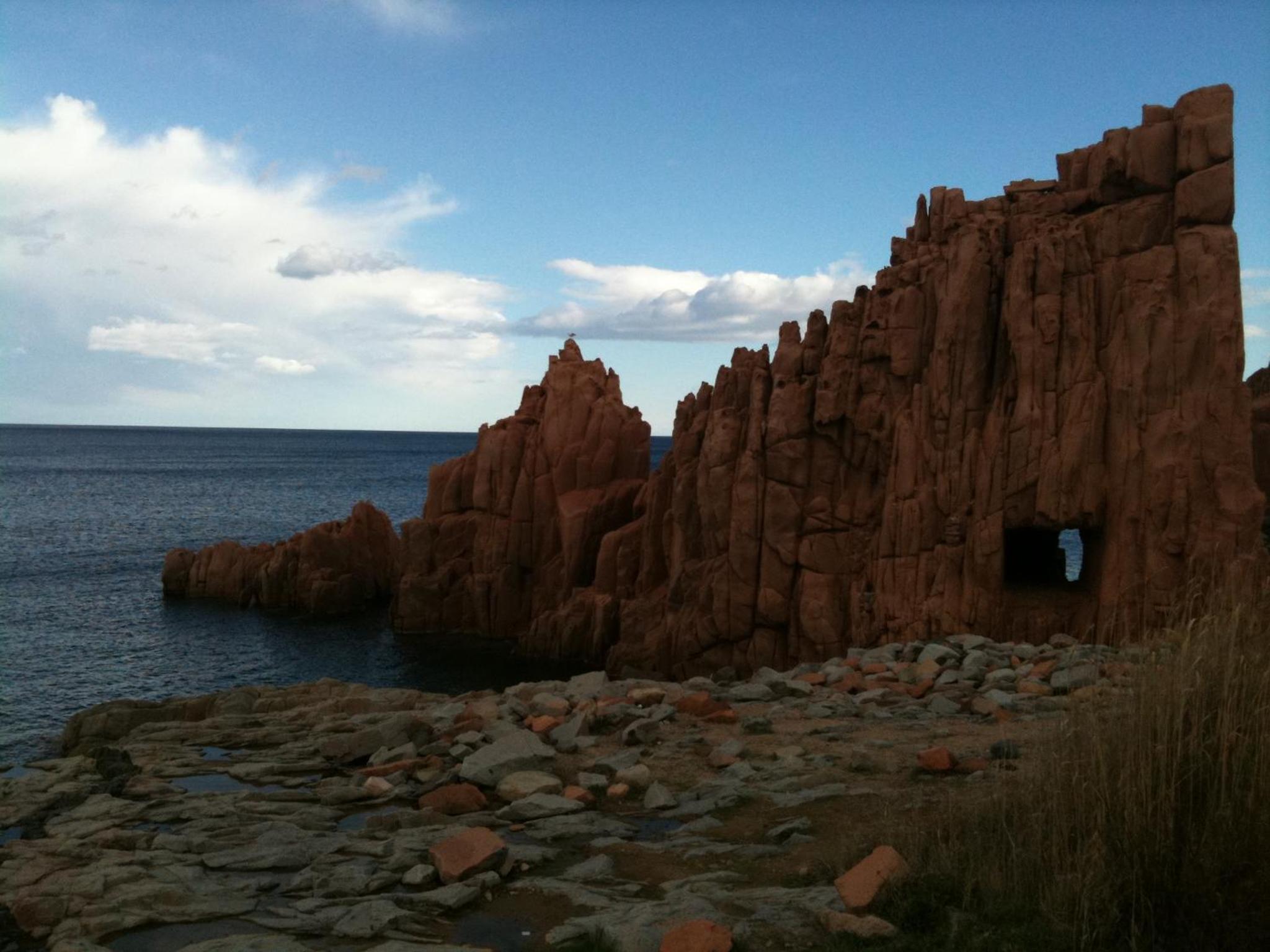 Photo 50