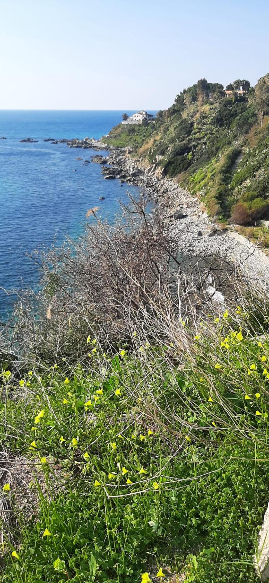 Photo 45