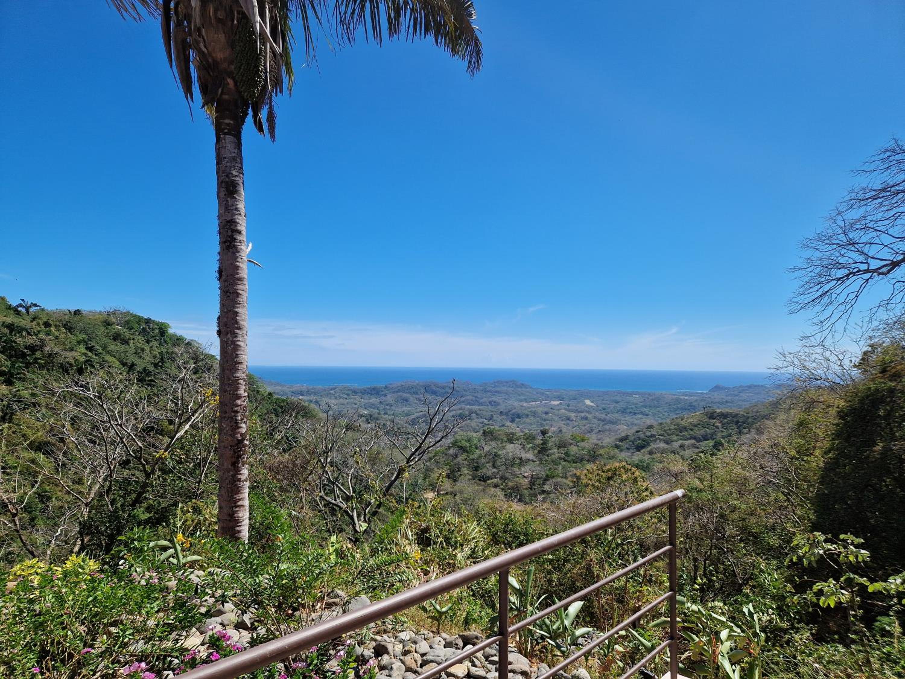 Vista Mar y Monos