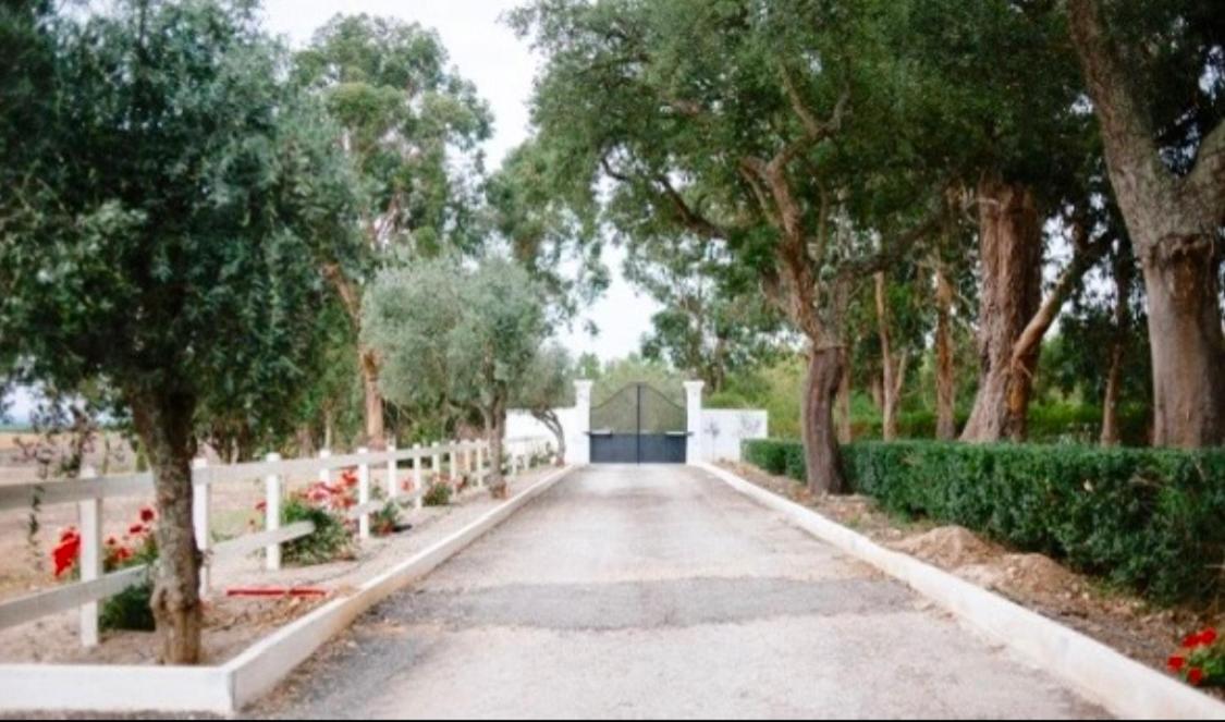 Herdade de Santa Maria view 3