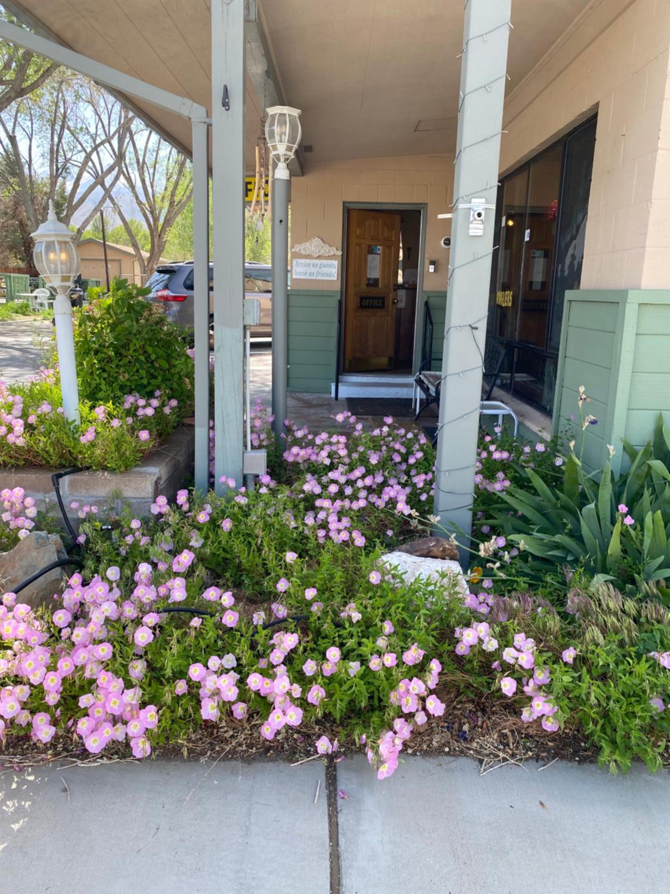Photo 22
