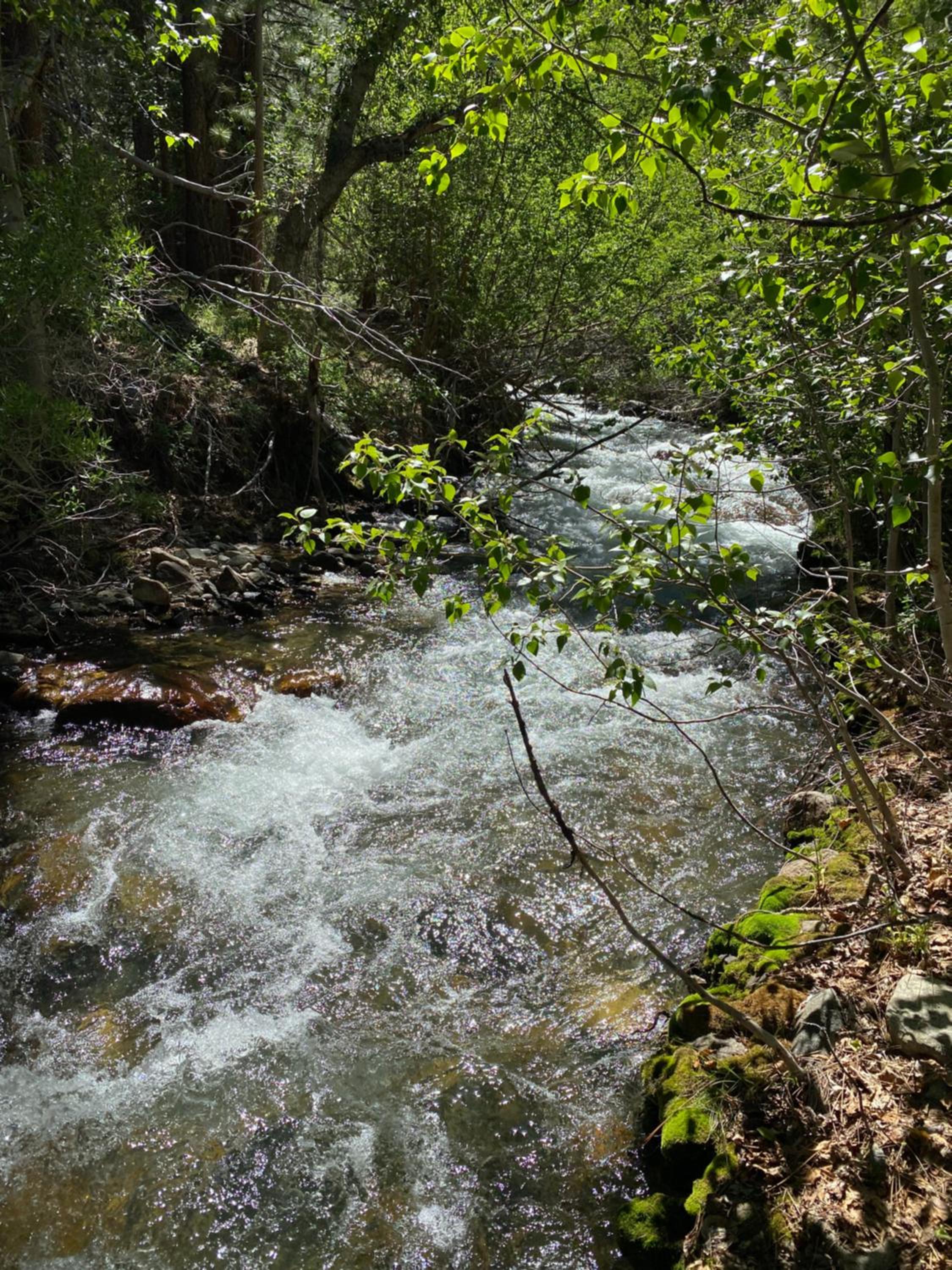 Photo 28