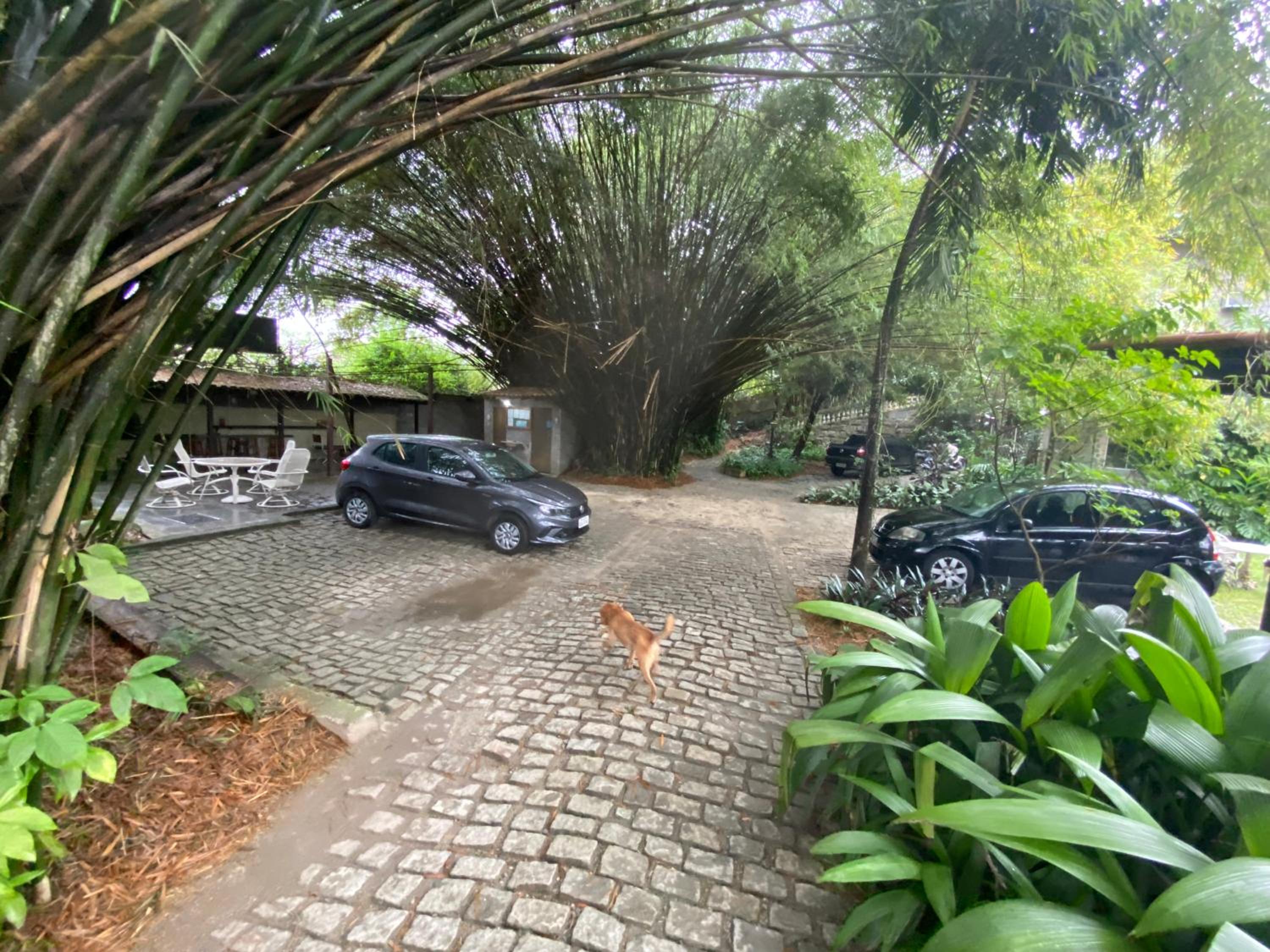 Rio Natureza apart 109