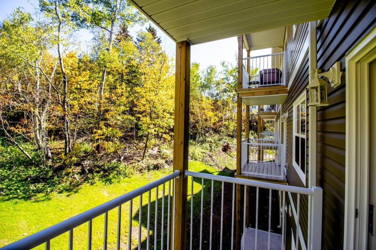 Brand new Gorgeous Condo Near UNB & Hospital Coffee Parking 202