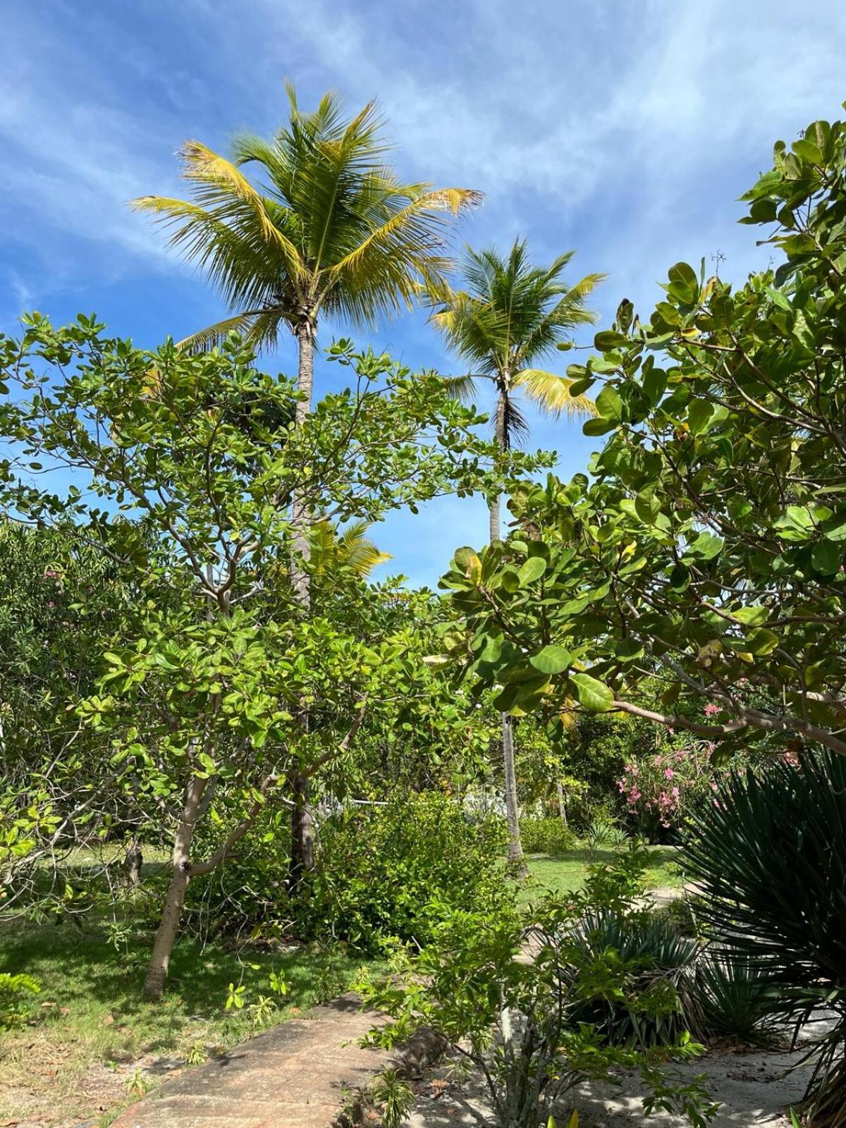 Ecolodge Batel Alagoas
