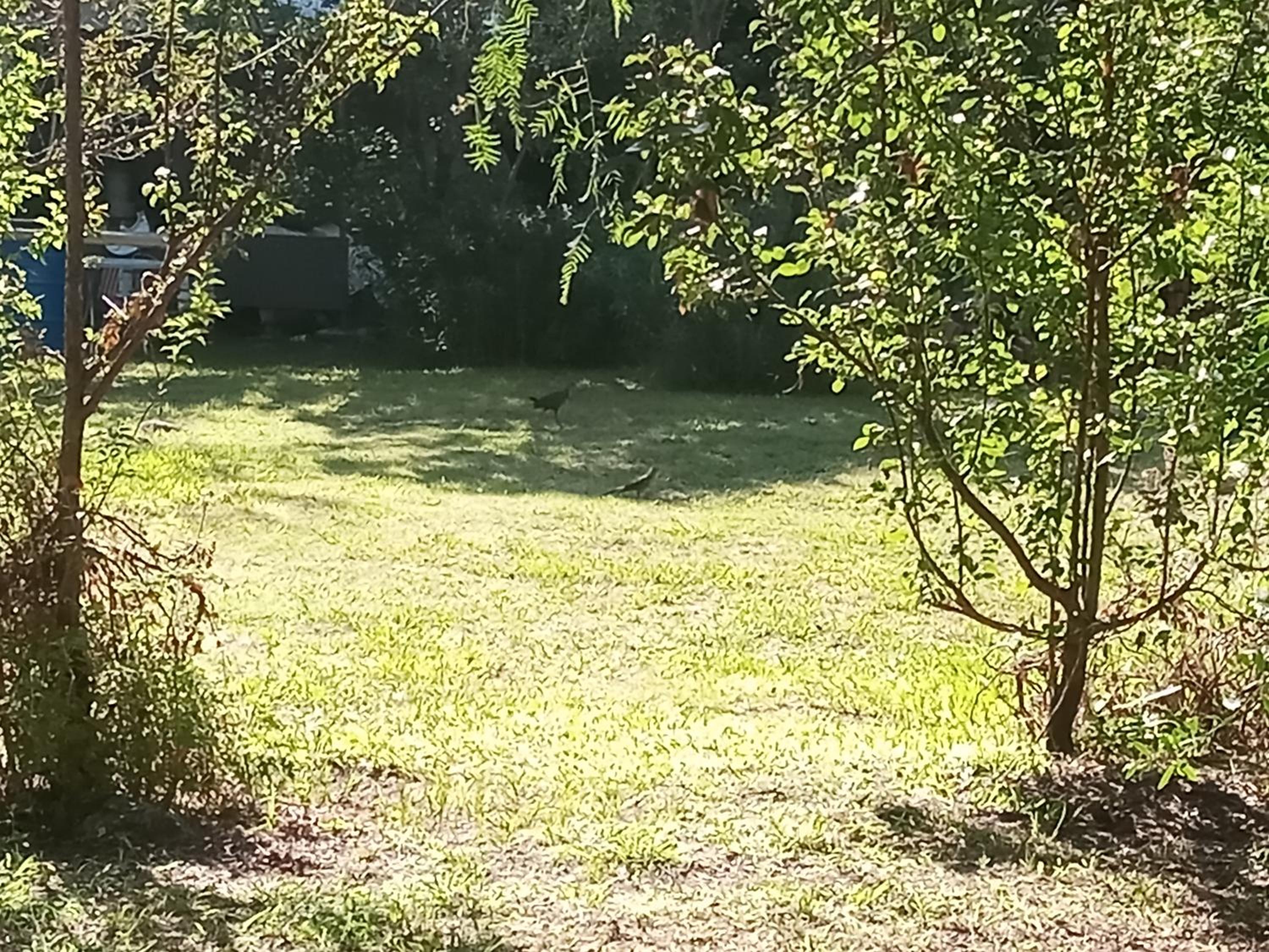 APK AlPA KAMIARE lodge de campo Merlo