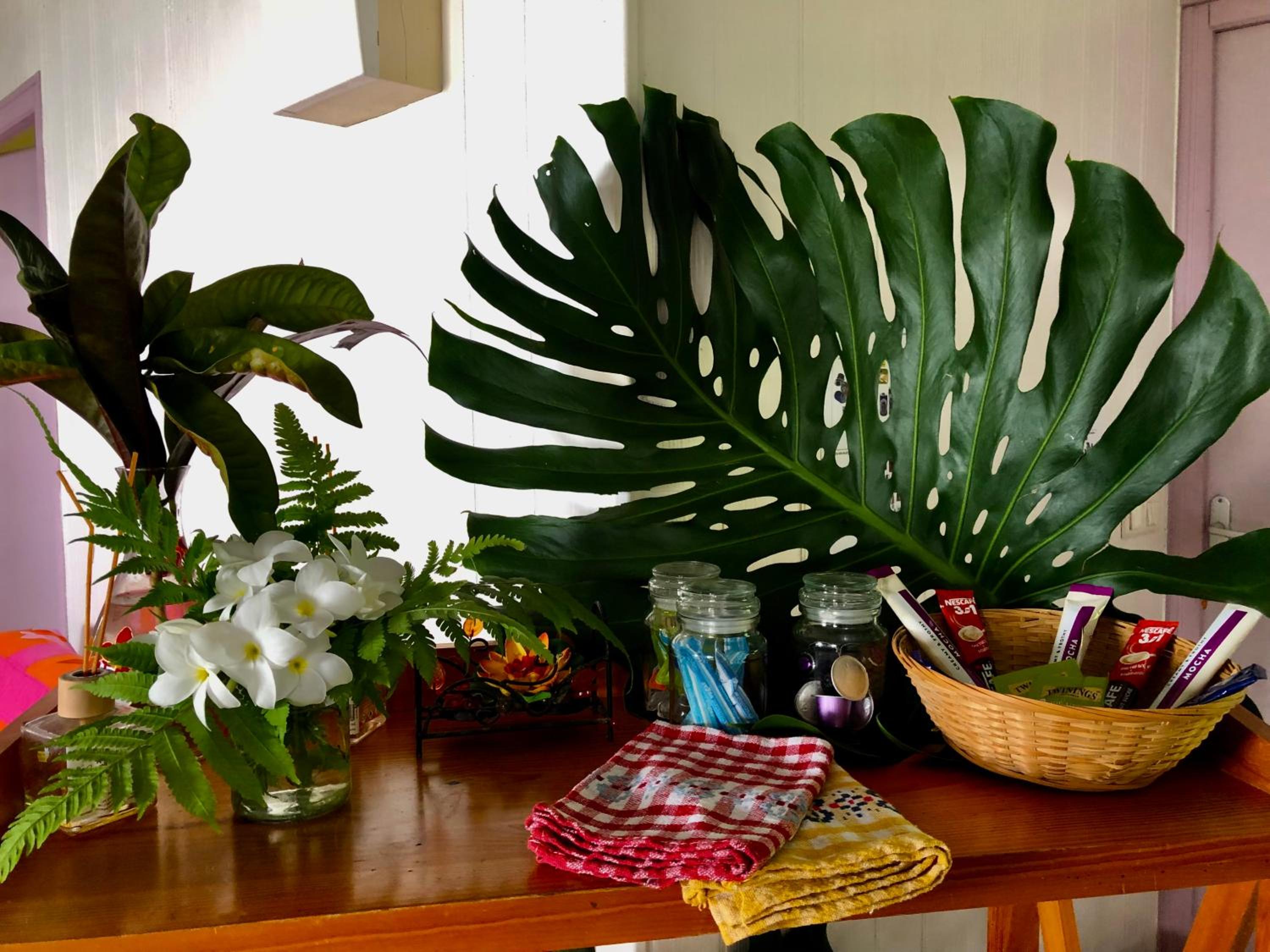 Photo 42