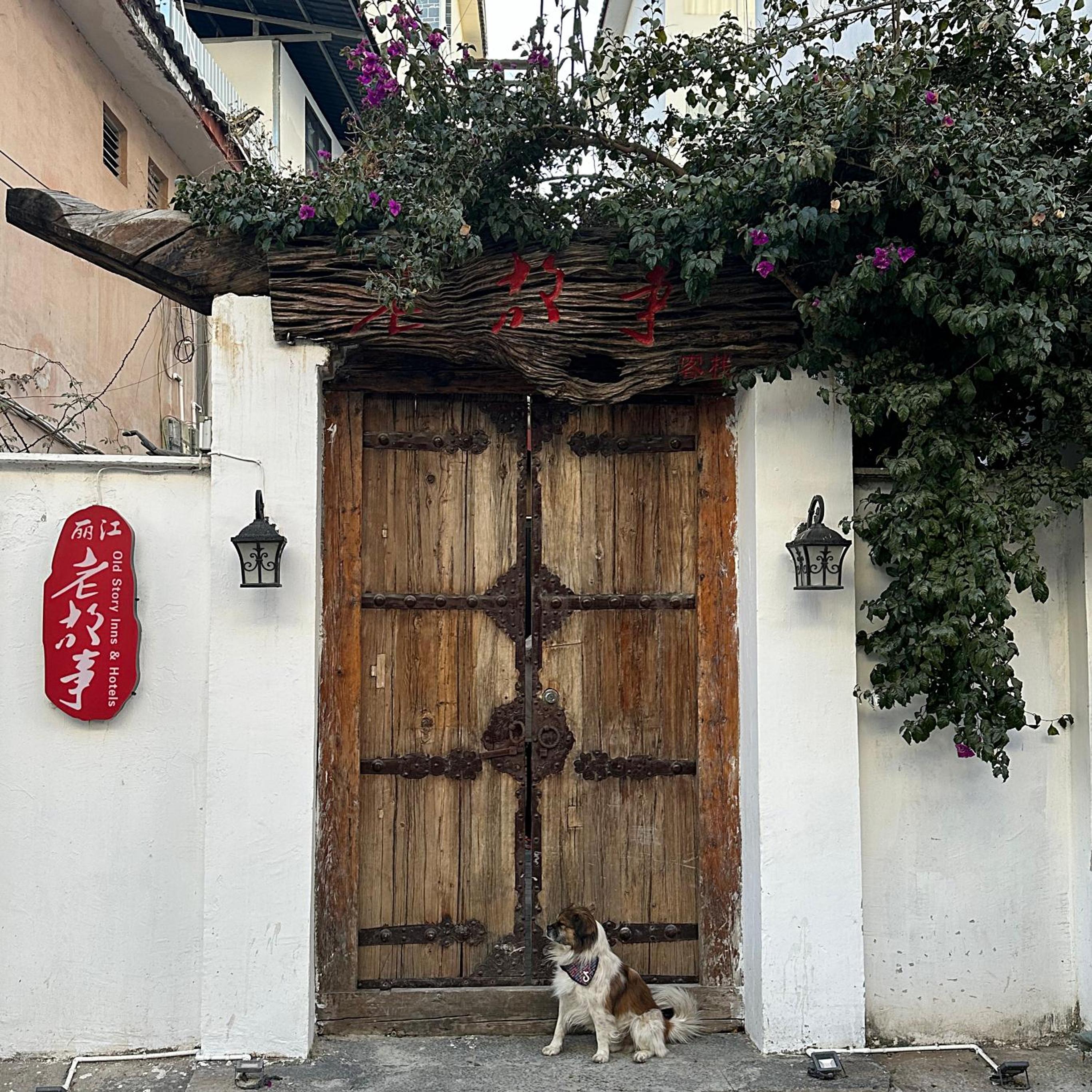 Old Story Inn Lijiang Old Town