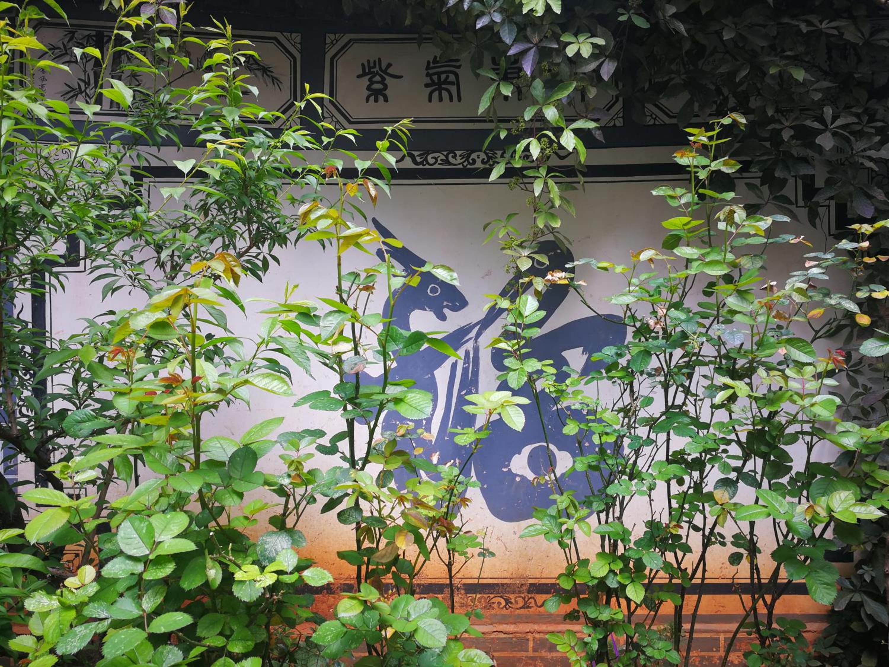 Old Story Inn Lijiang Old Town