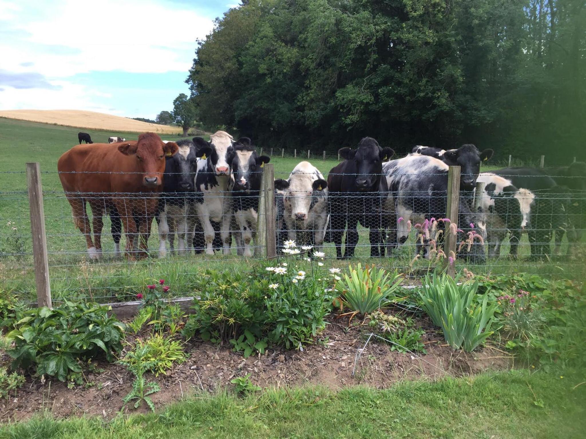 Retreat at The Knowe Auchincruive Estate