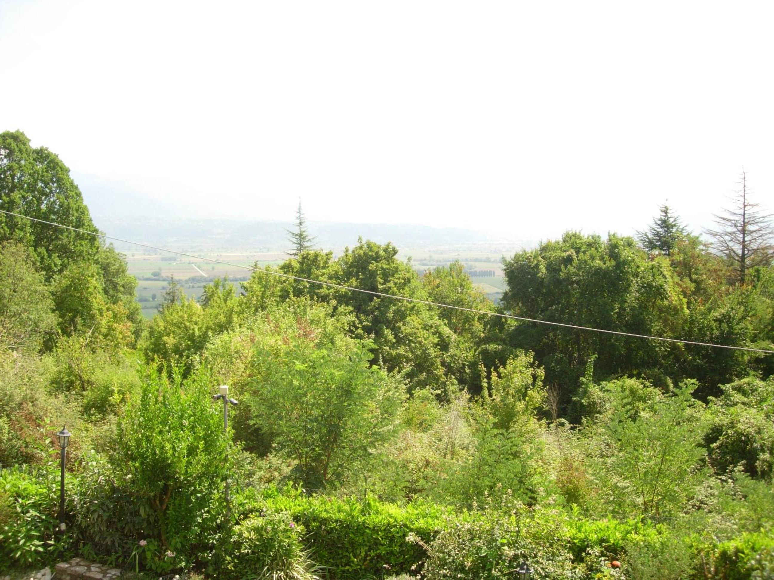 Photo 31