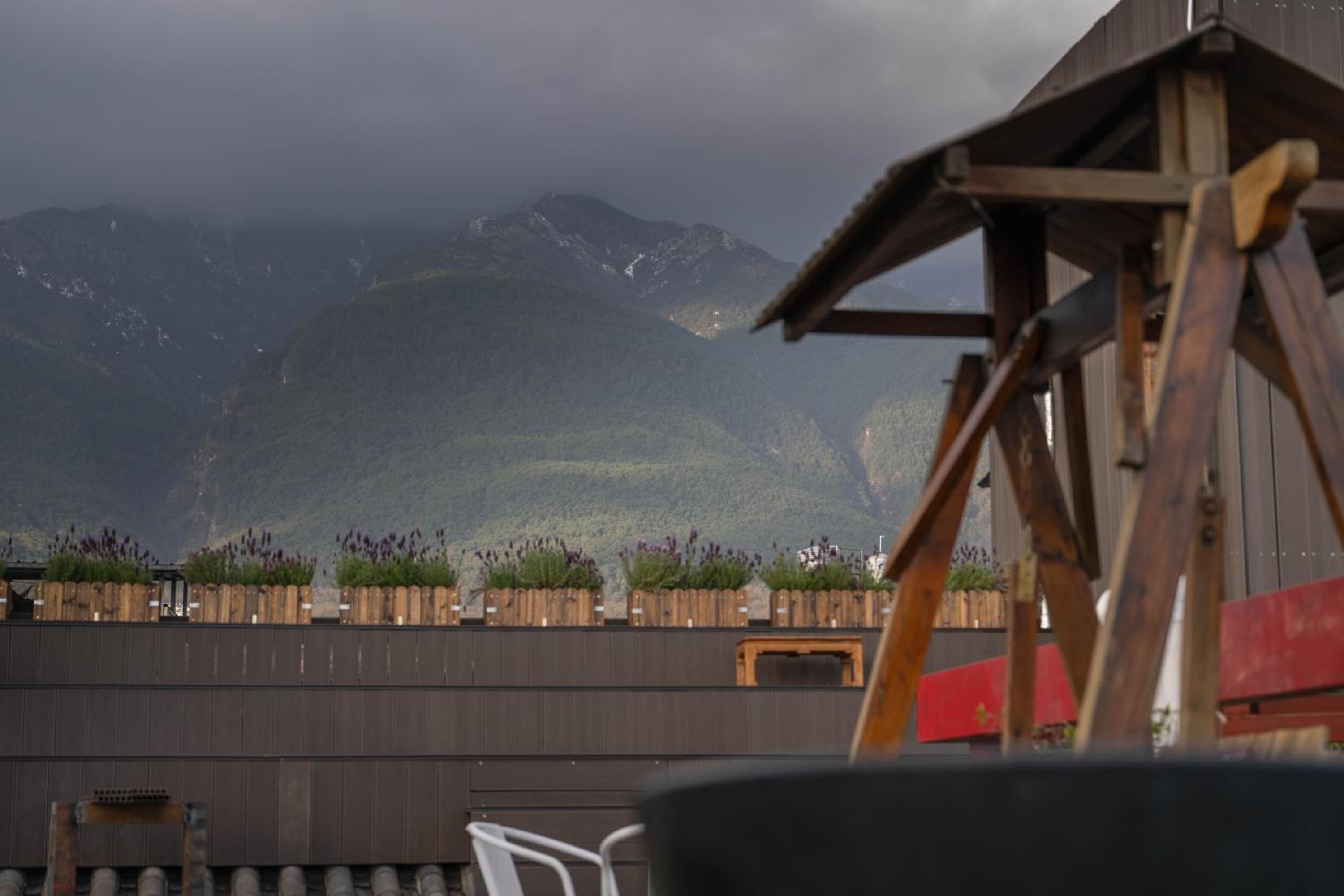 roof