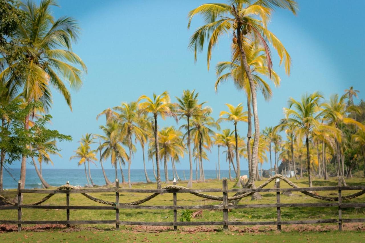 El Hongo Finca Hostal / Camping view 3