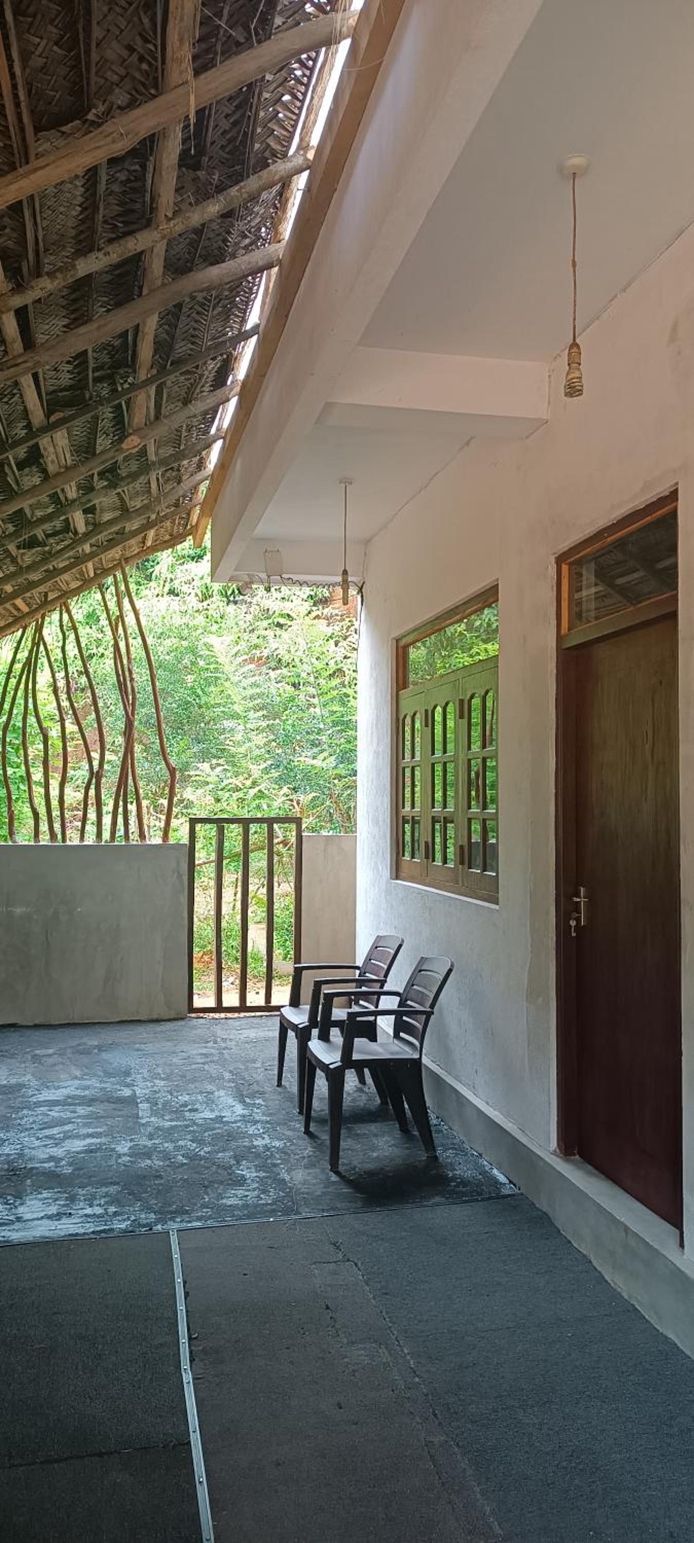 Dillenia canopy