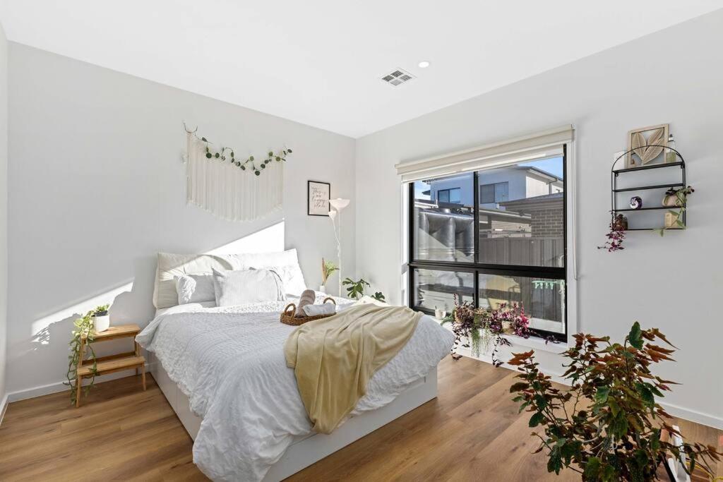 Spacious Urban Oasis in Throsby Canberra