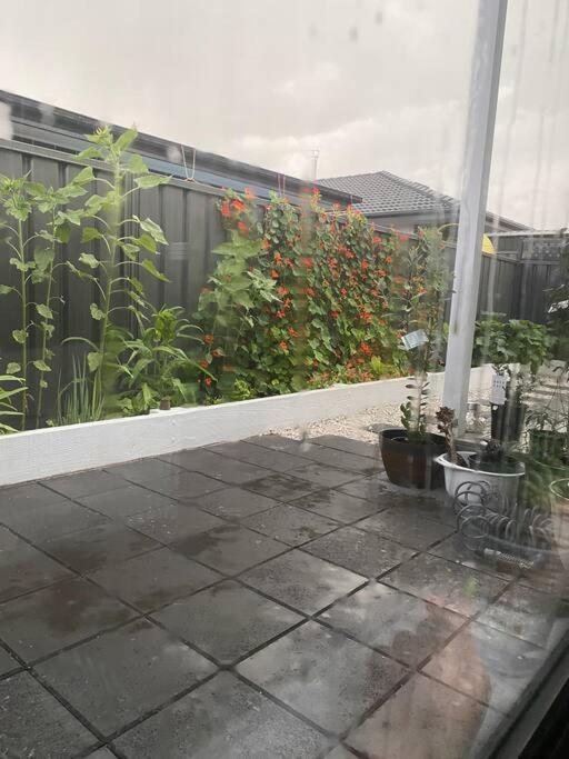 Spacious Urban Oasis in Throsby Canberra