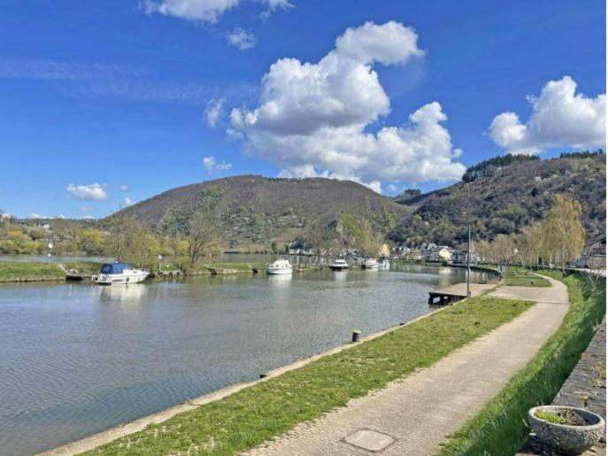 Villa Ardoise direkt an der Mosel zwischen Cochem und Koblenz