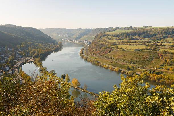 Villa Ardoise direkt an der Mosel zwischen Cochem und Koblenz