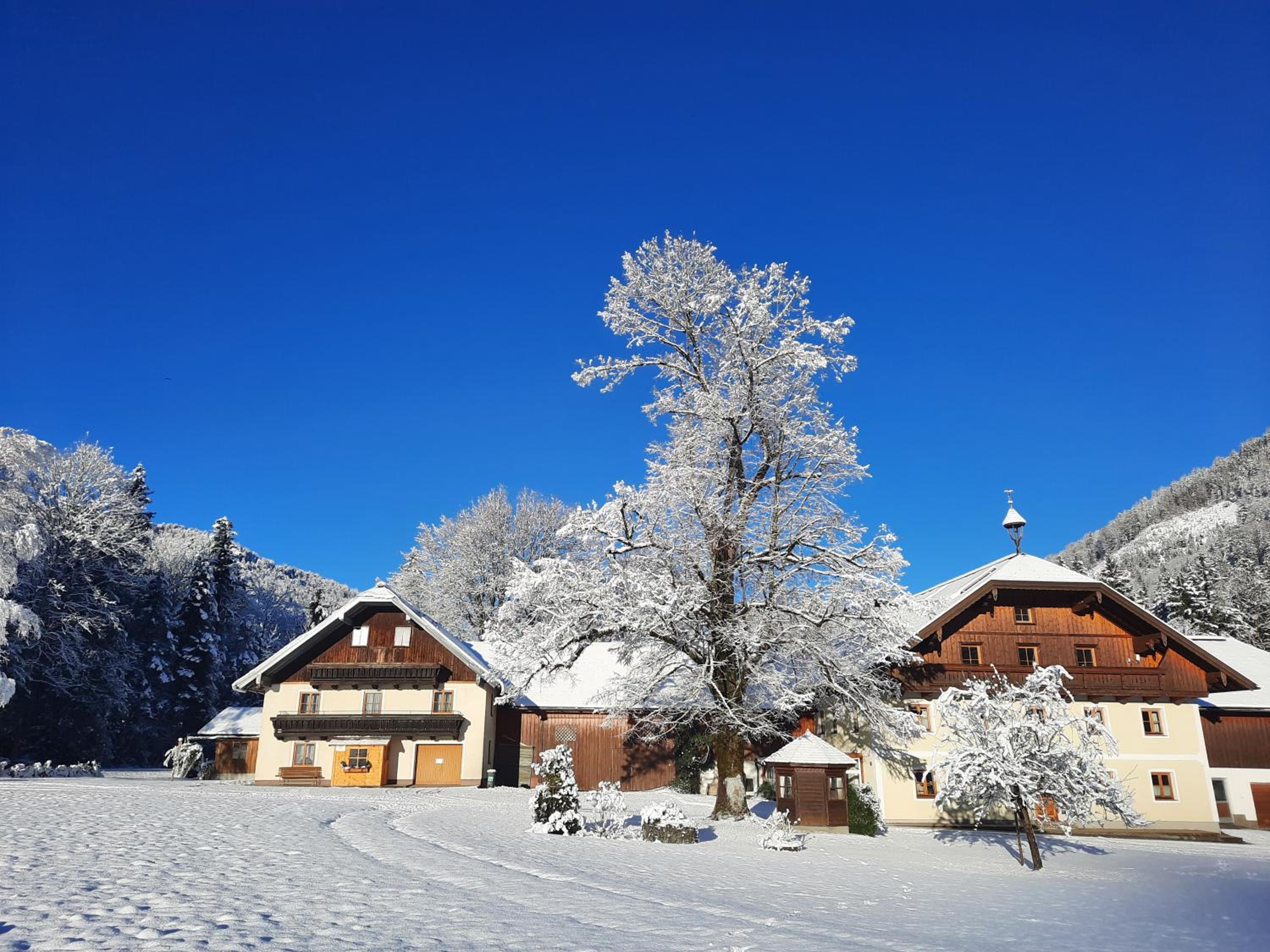 Ferienhaus Laimerbauer
