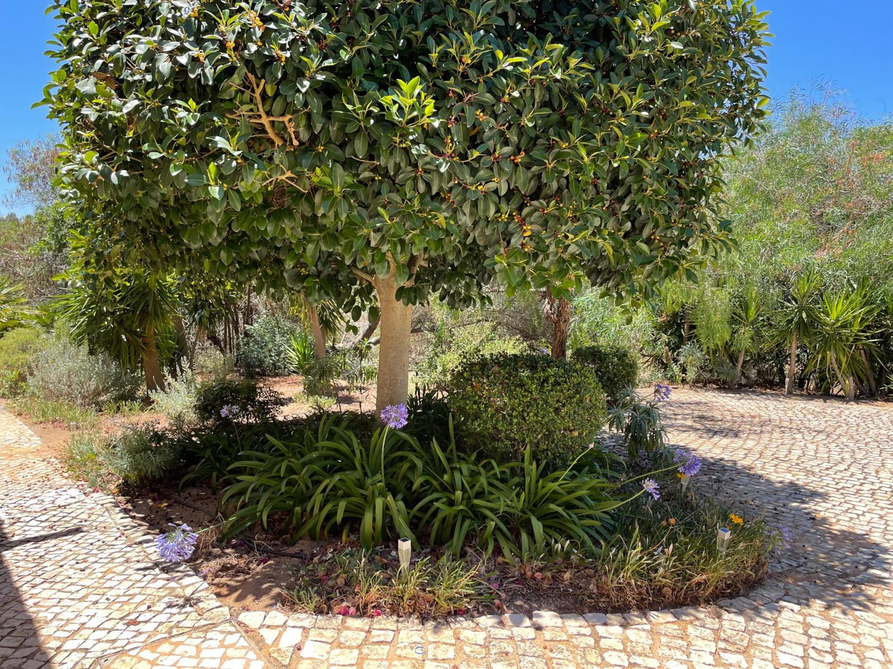 Photo 48