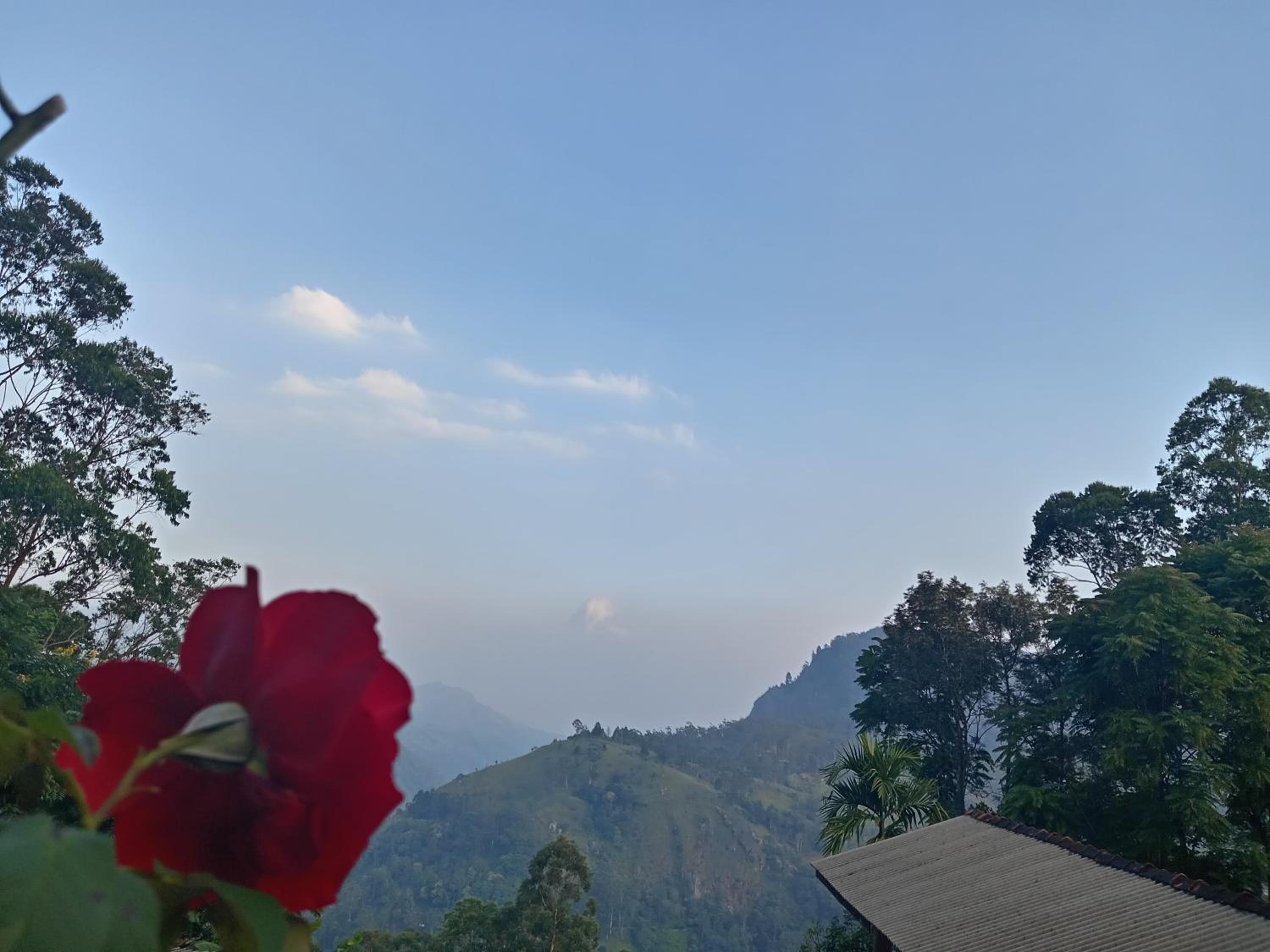 Apurvi Homestay view 4