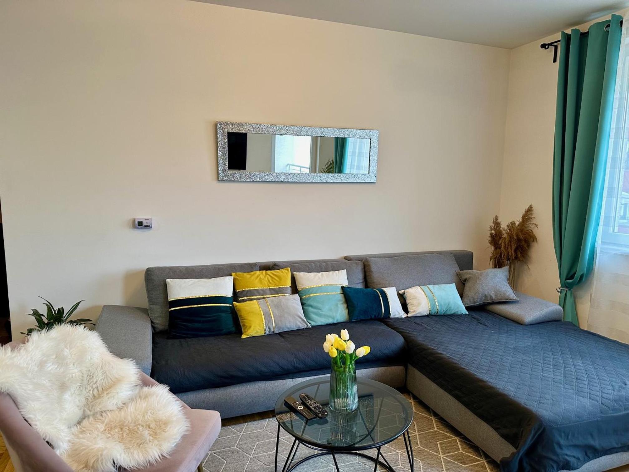 Belgrade Apartment 3 view 5