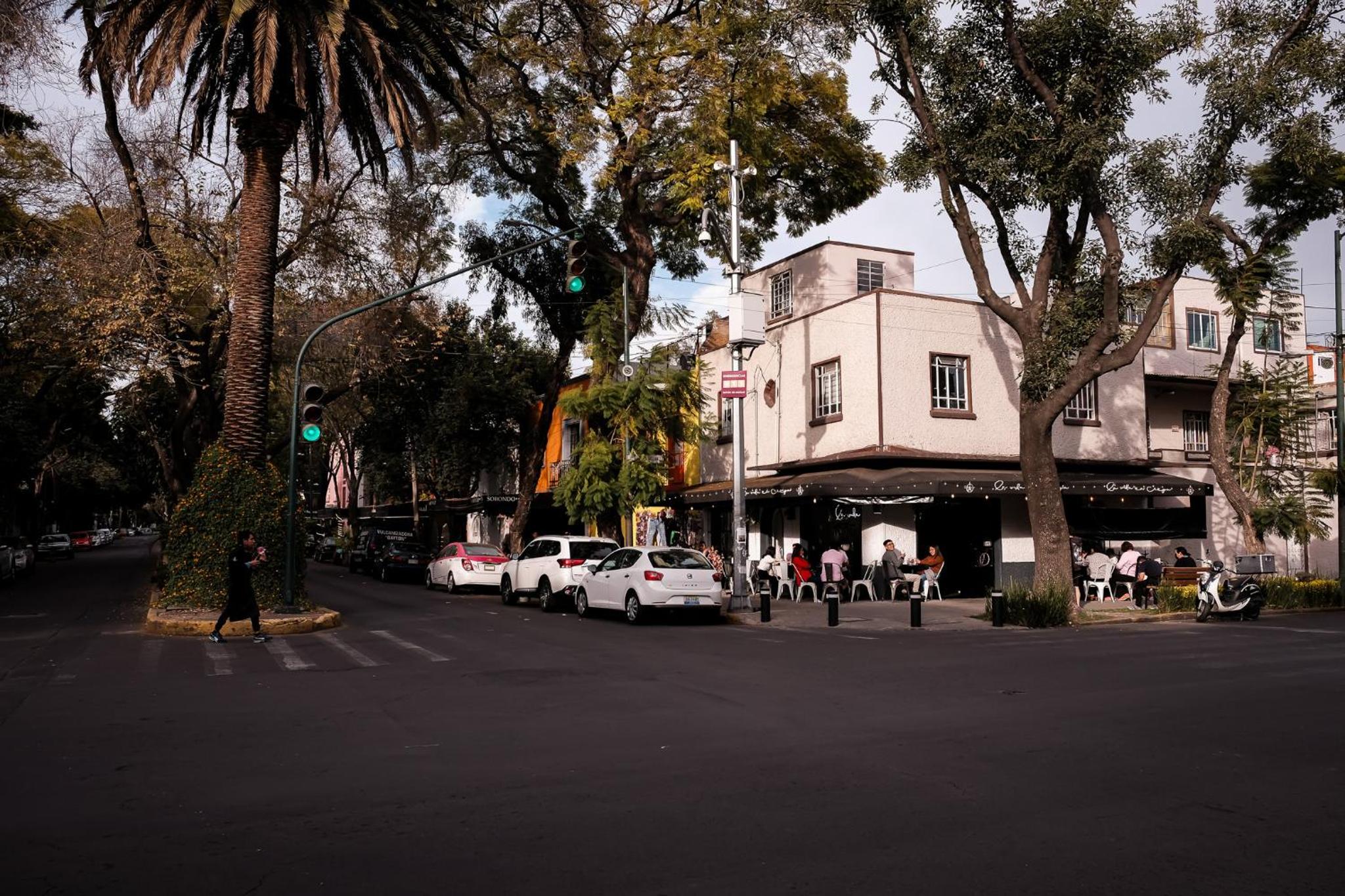 Photo 20