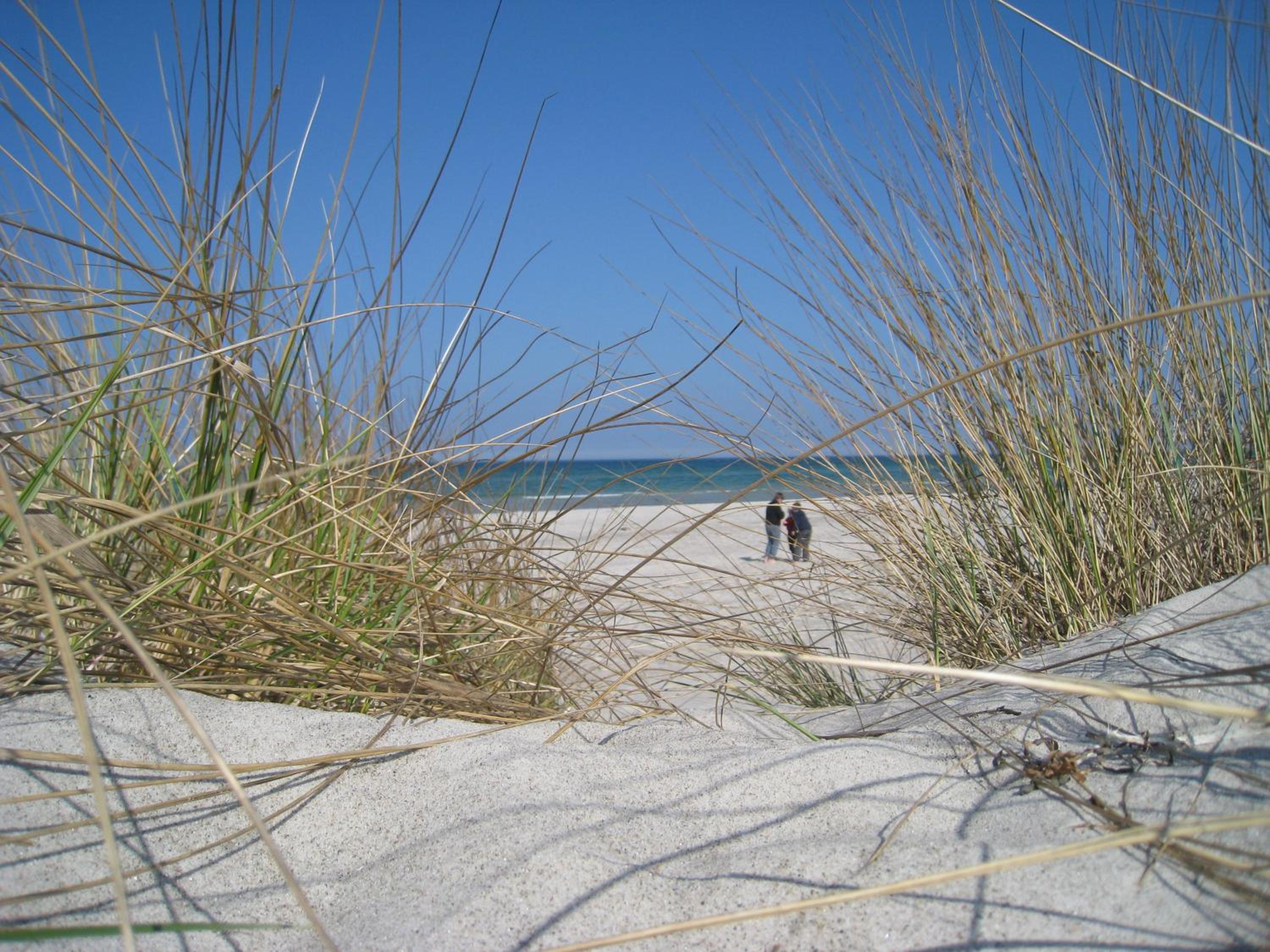 Schlei-Liesels Ferienwohnungen