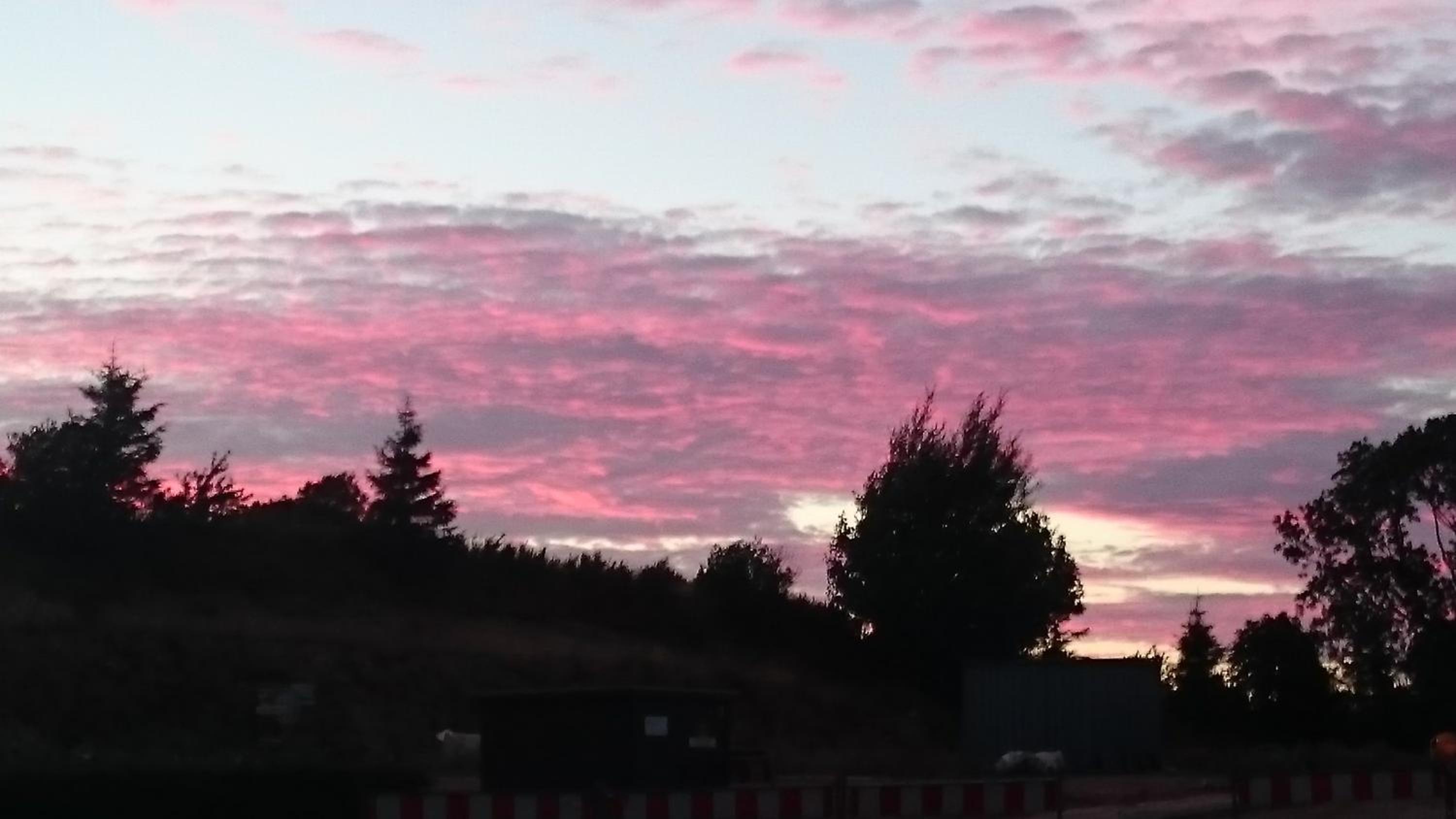 Schlei-Liesels Ferienwohnungen
