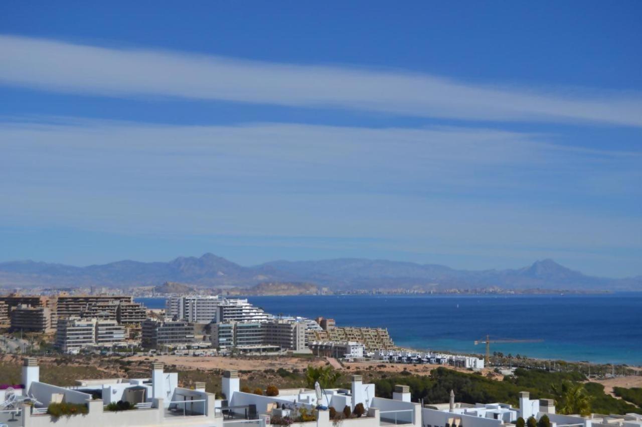 Iconic Alluba Alicante luxury bay