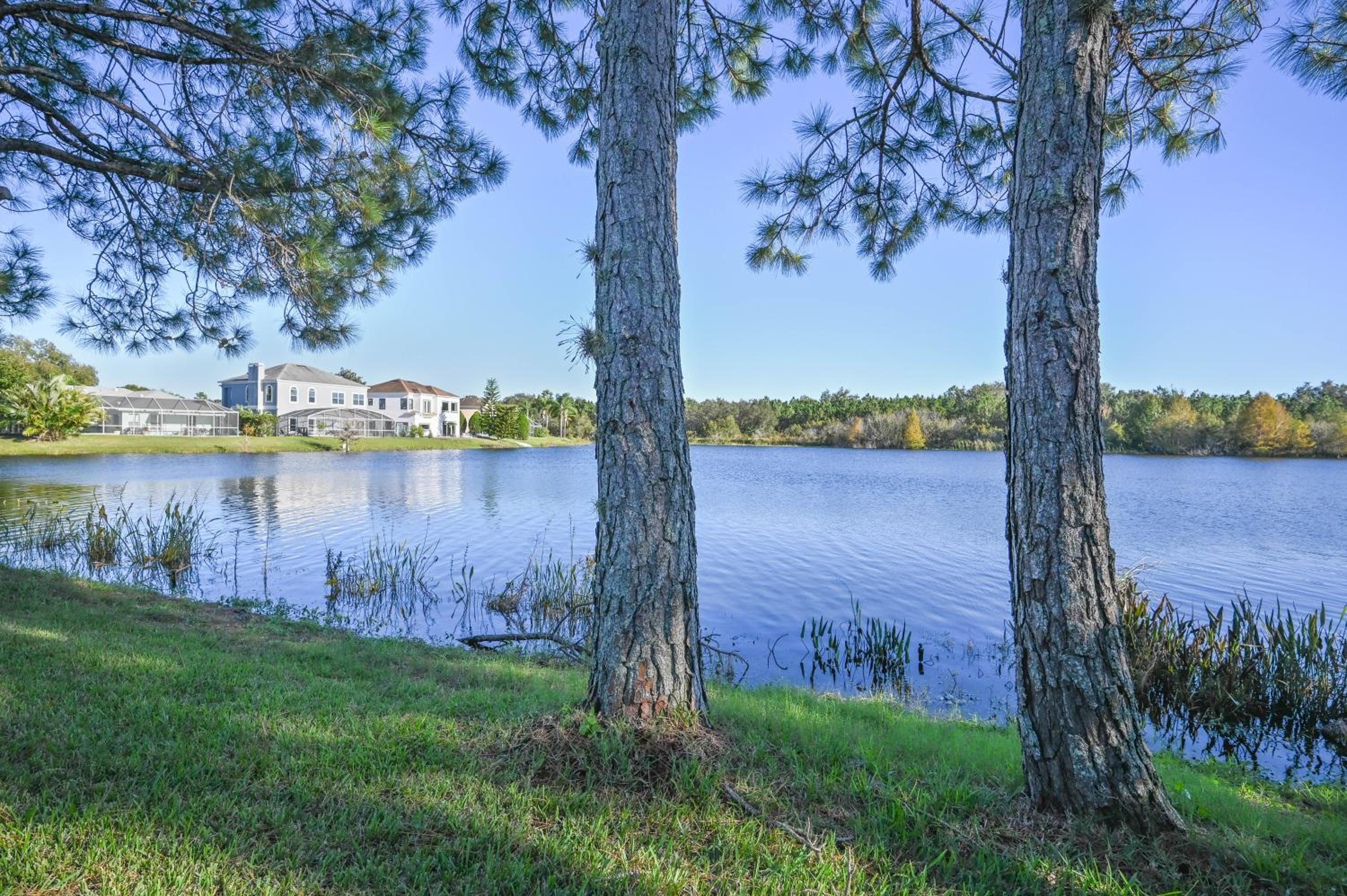 Disney World Getaway: 4 Br - Sunroof - BBQ Bliss