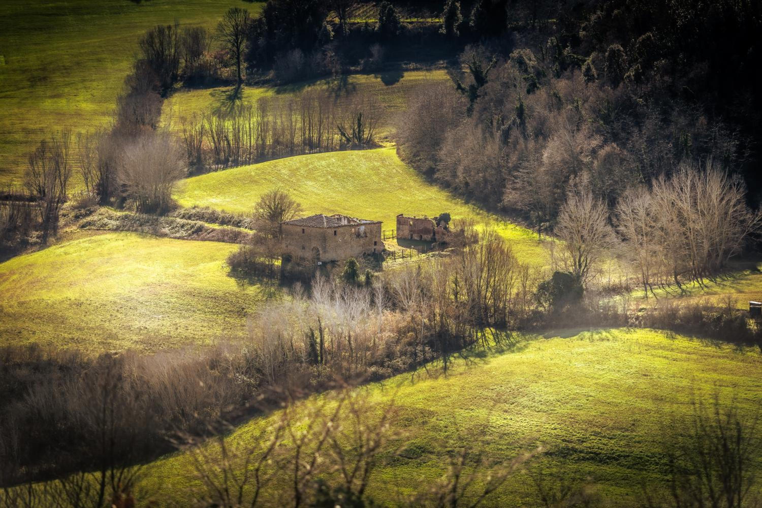 Photo 201