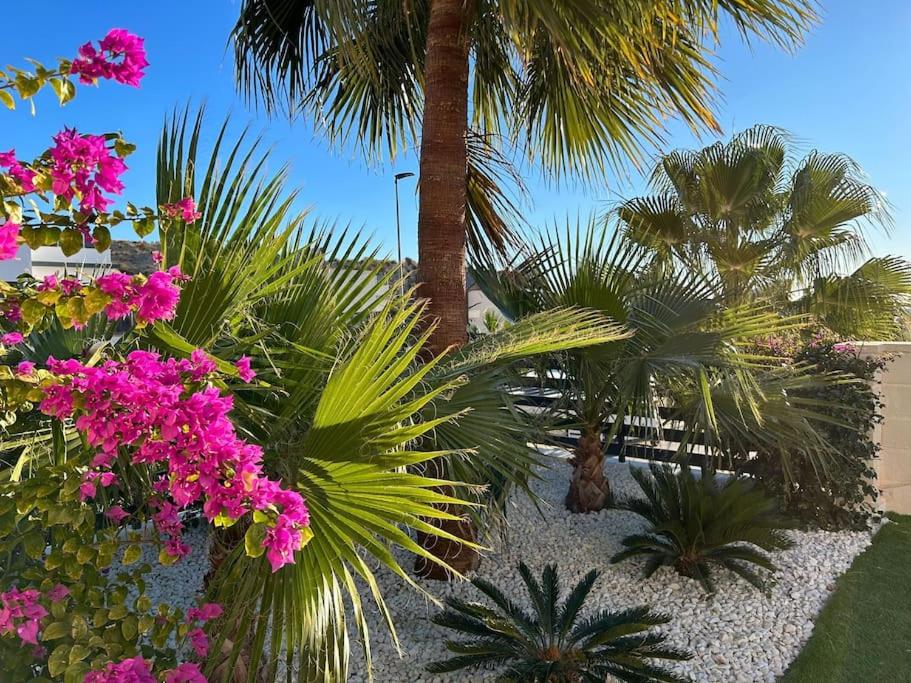 Villa Tropical - Alegría Village