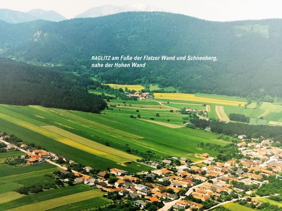 Atelieo beim Nussbaum