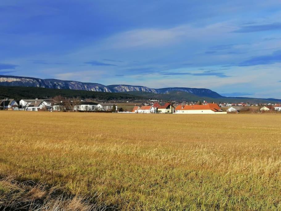Atelieo beim Nussbaum