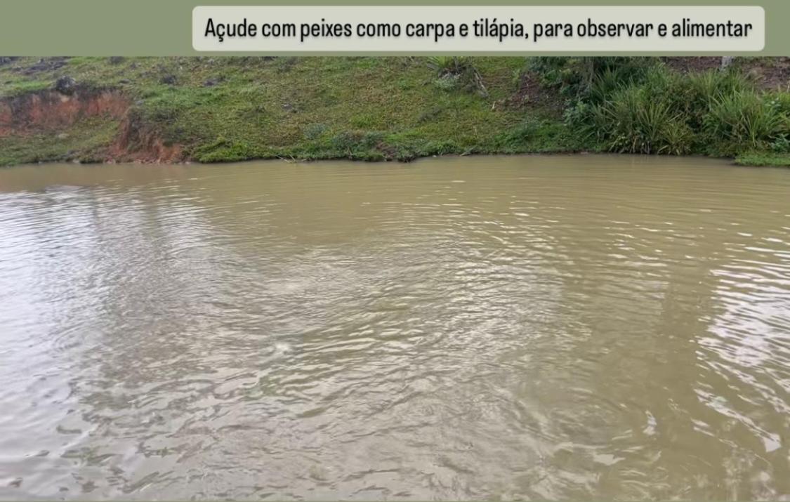 Refúgio nascer das águas