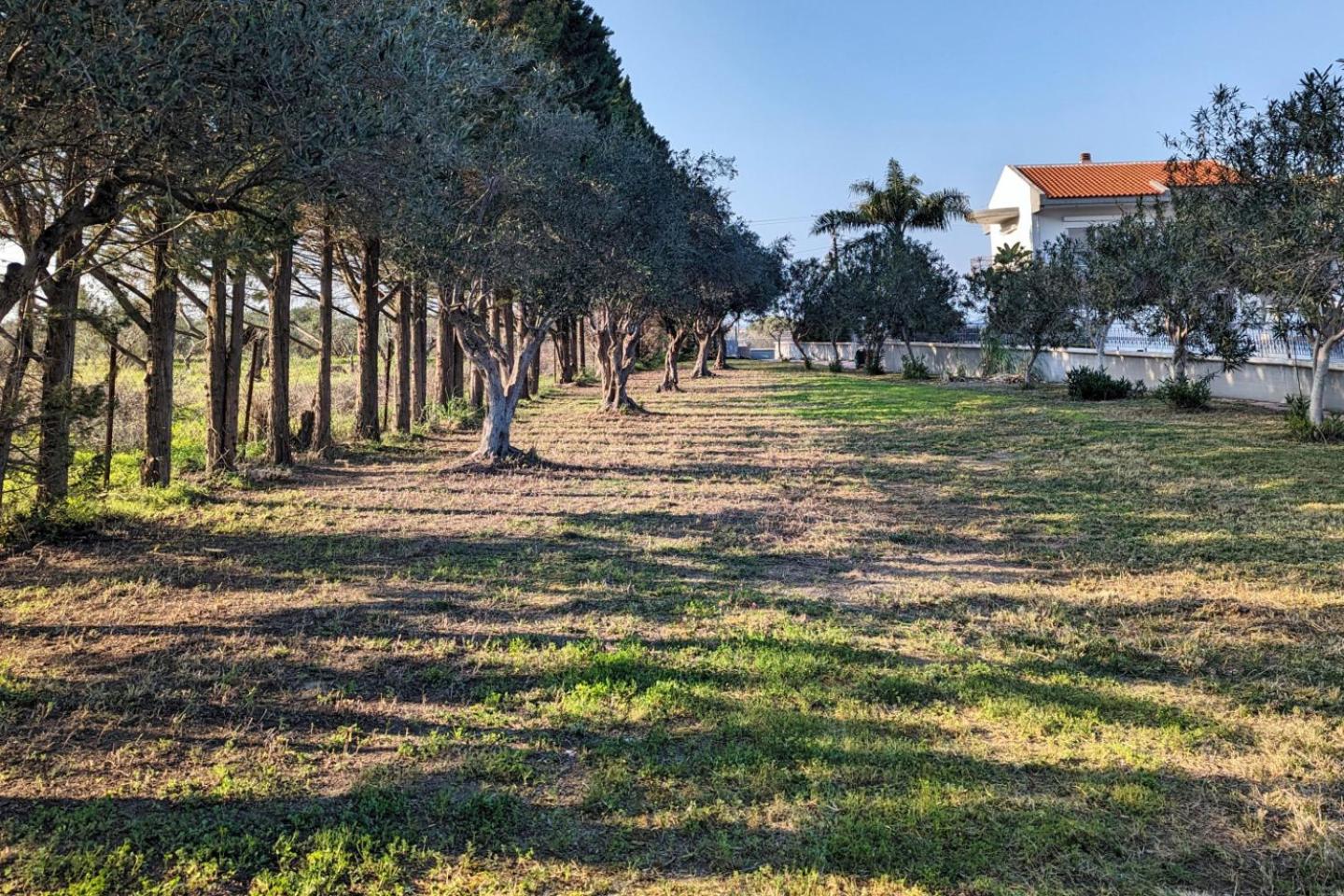 The Masseria