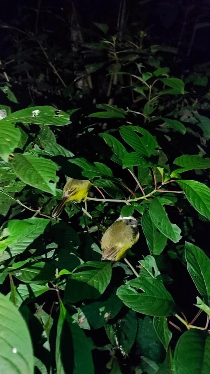 Jardín Del Bosque