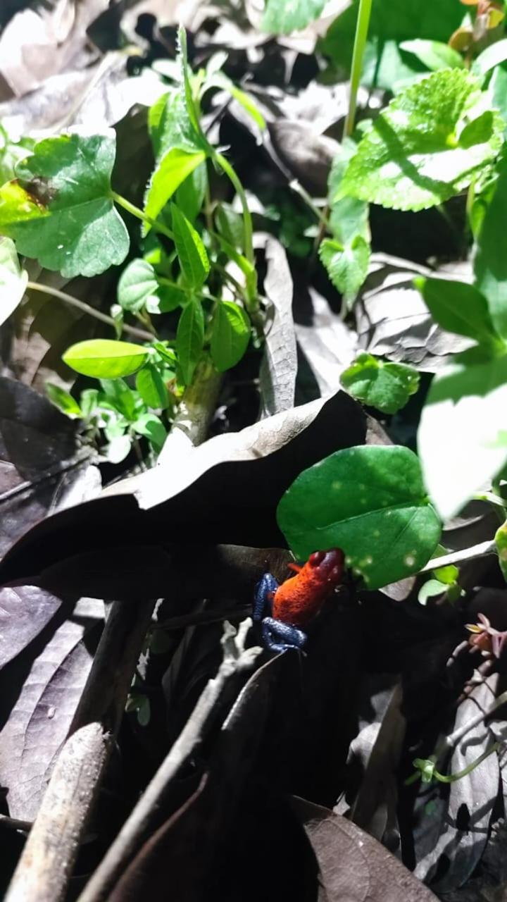 Jardín Del Bosque