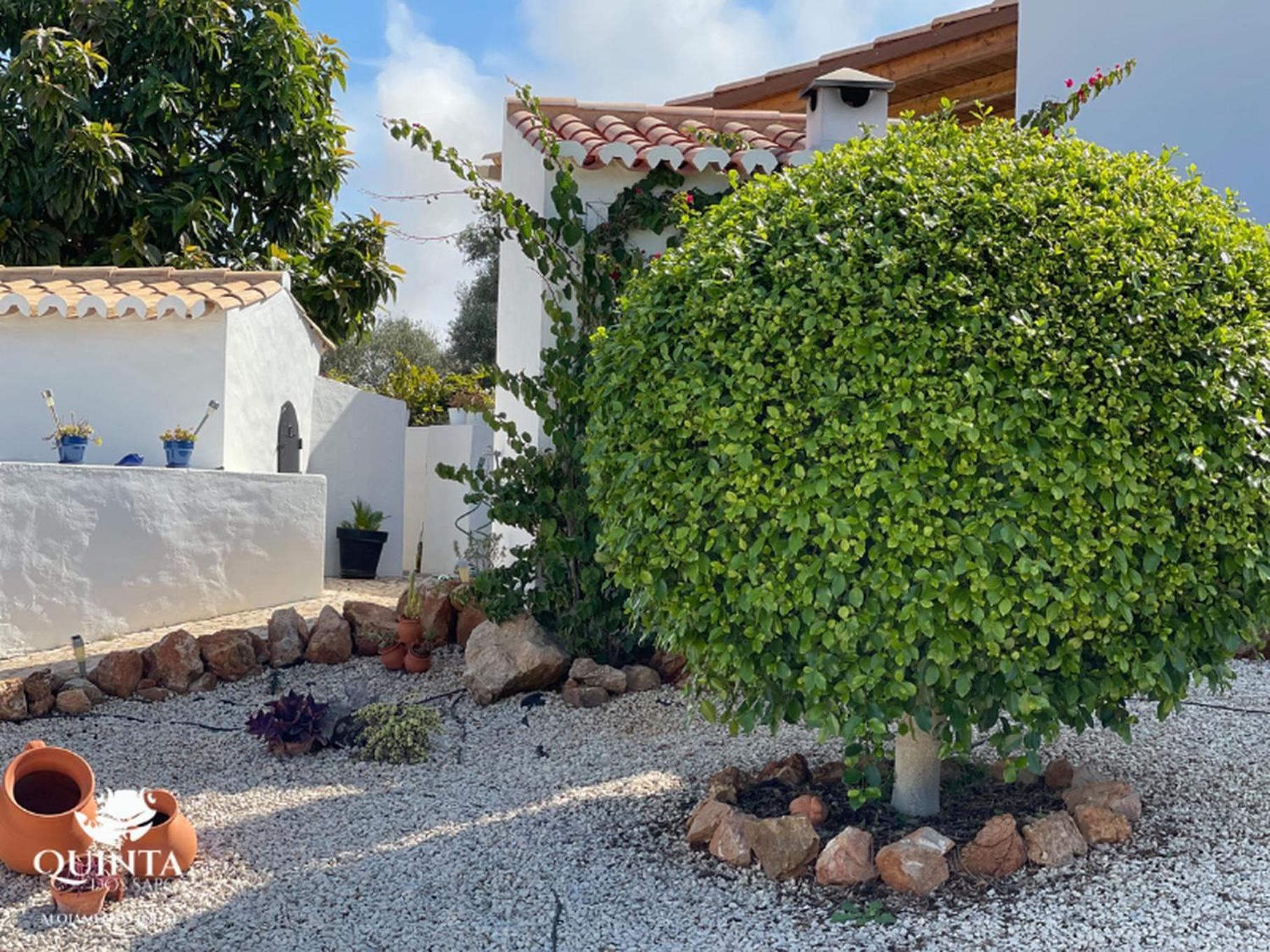Quinta dos Sapos, photo 46