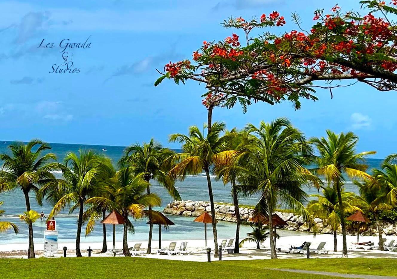 Accès direct Plage et Piscine, Vue Mer et Cocotiers, Les Gwada Studios, Village Vacances Ste Anne view 2