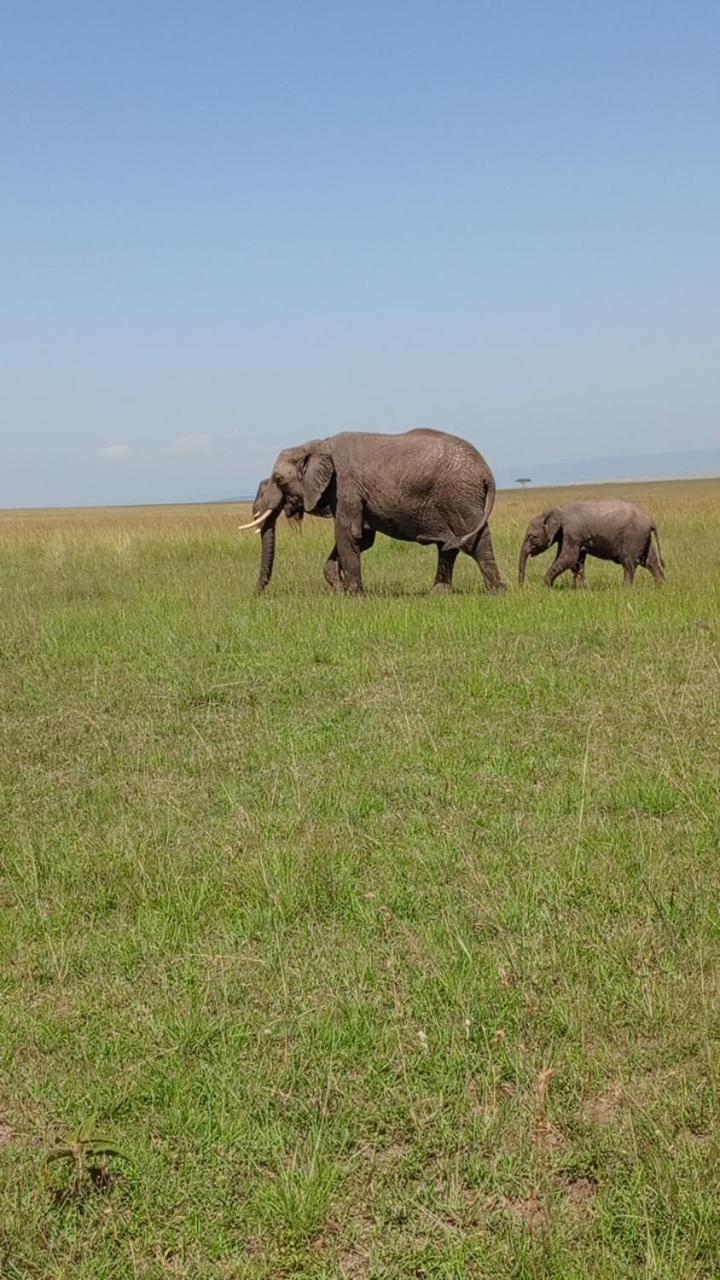 orkaria safari mara camp view 5