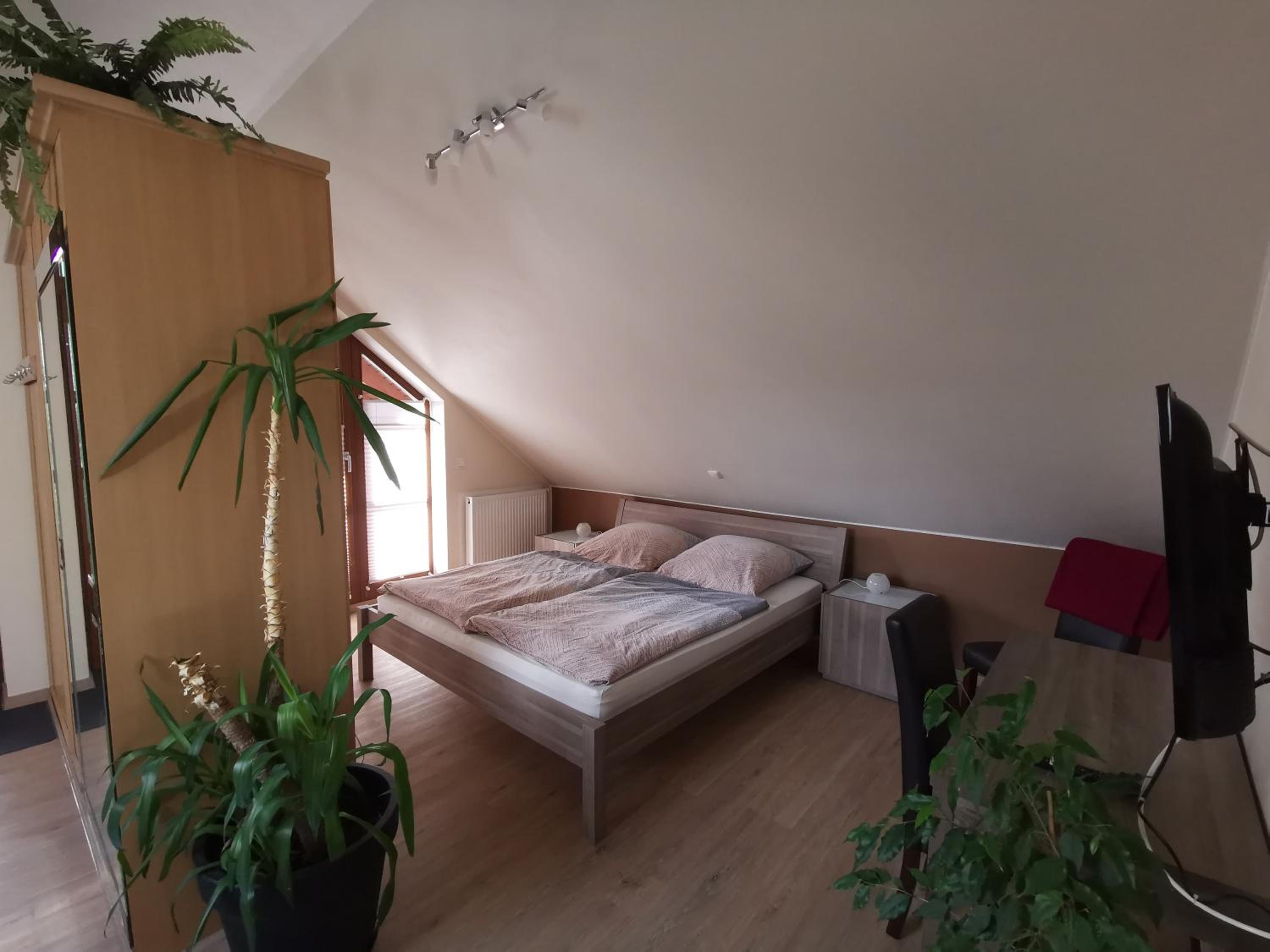 Studio und Apartment auf dem Pferdehof