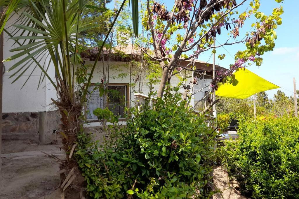 Agradable Casa a Orillas del Lago Rapel