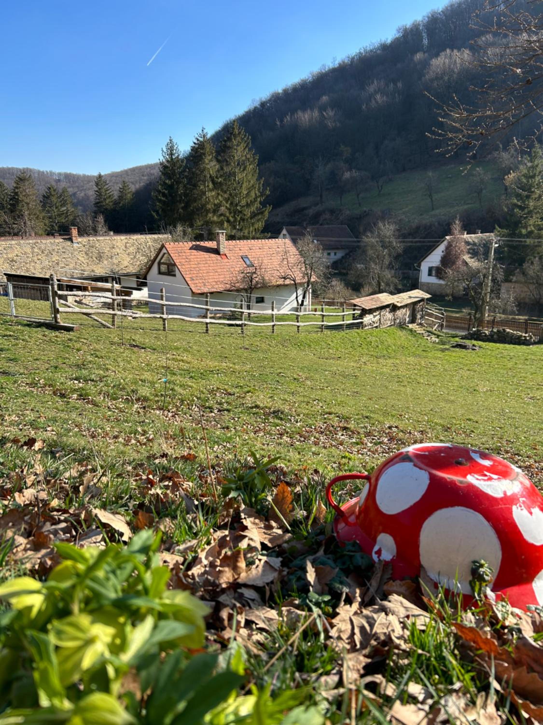 Tücsök Vendégház Óbánya