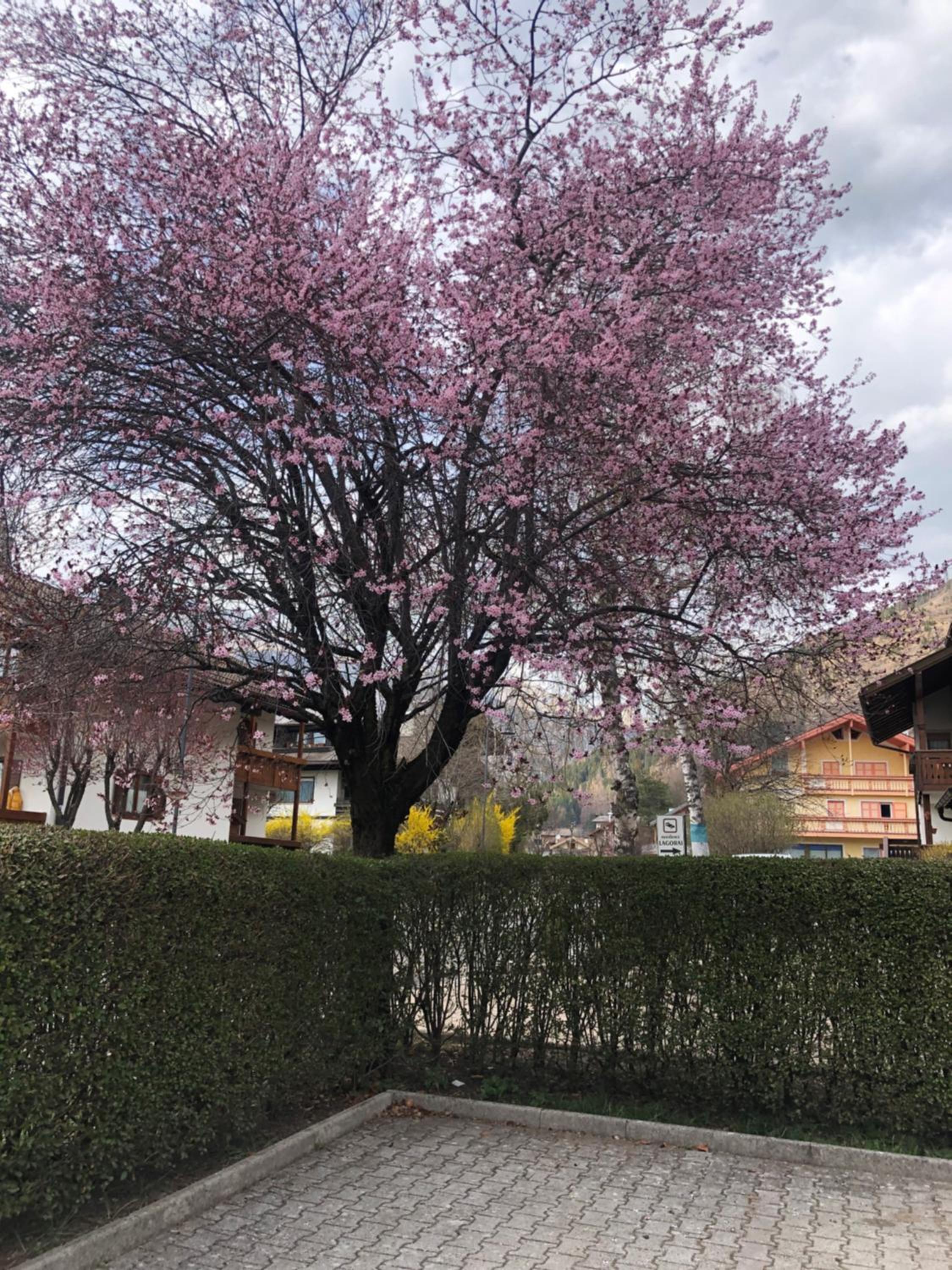 CASA PINUCCIA APPARTAMENTO EST