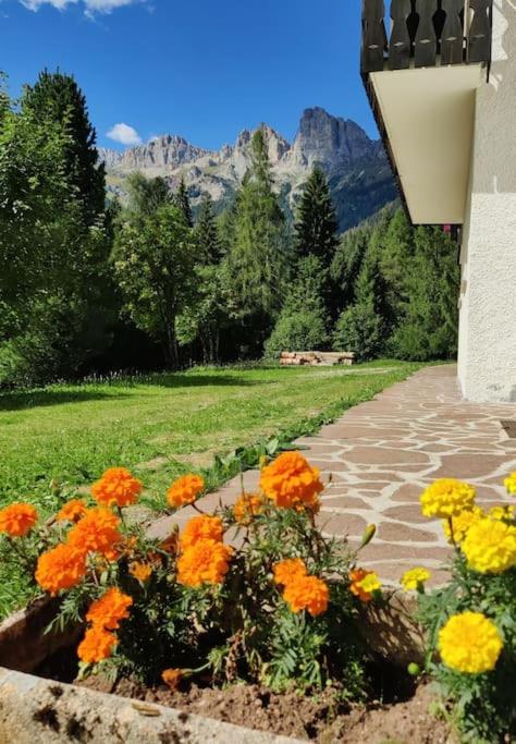 Falcade Dolomiti La Quiete piano terra view 2