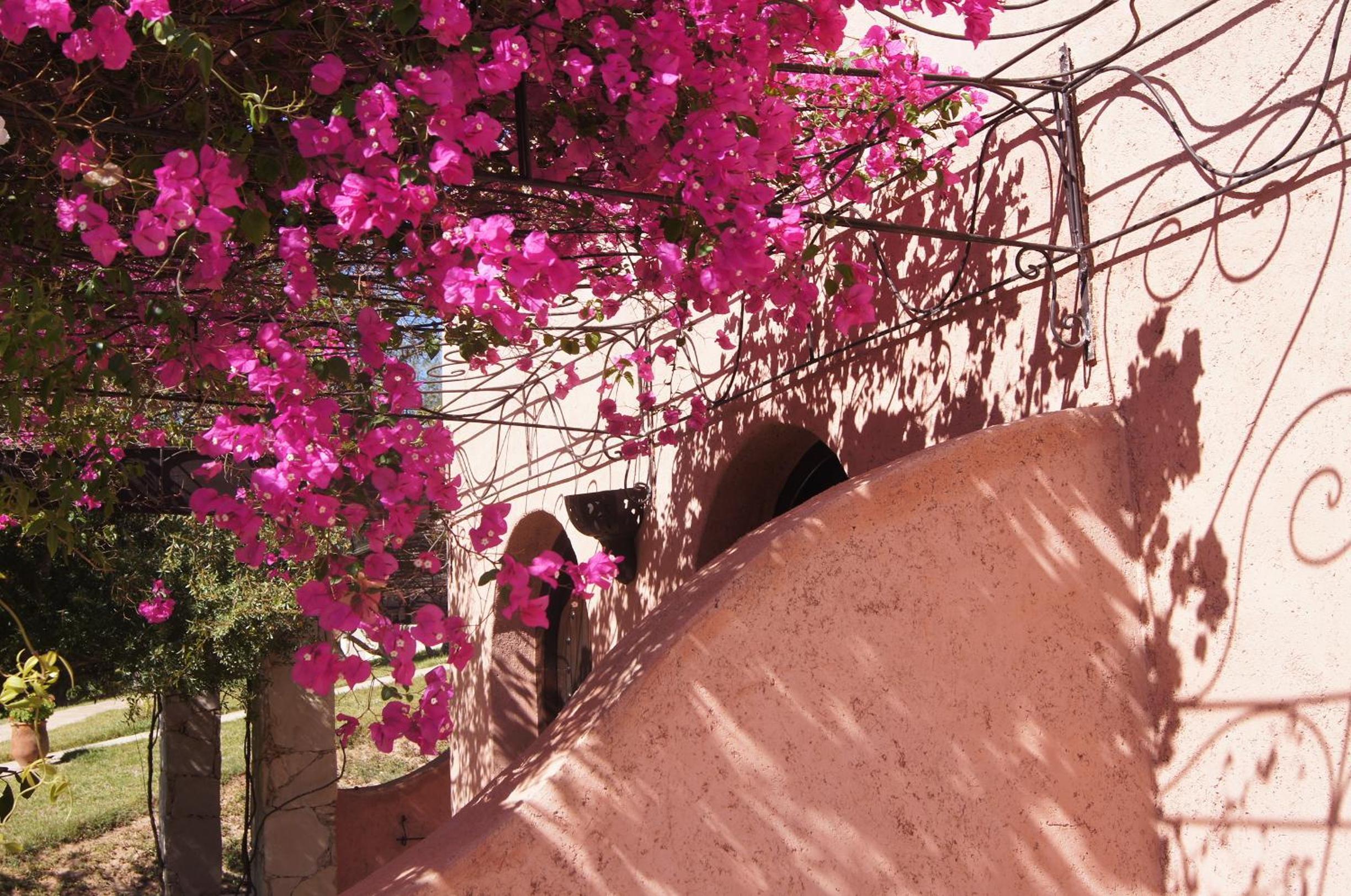 Paradis Nomade